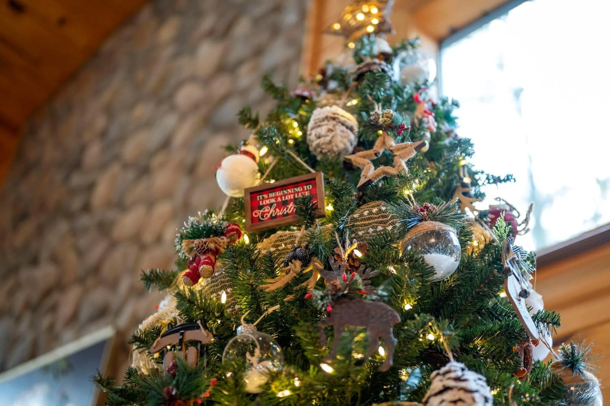 Hickory Bear - Cabin surrounded by pines, Sleeps 10, Hot Tub, Fire Pit, Arcade, Foosball Table & Deck Slide