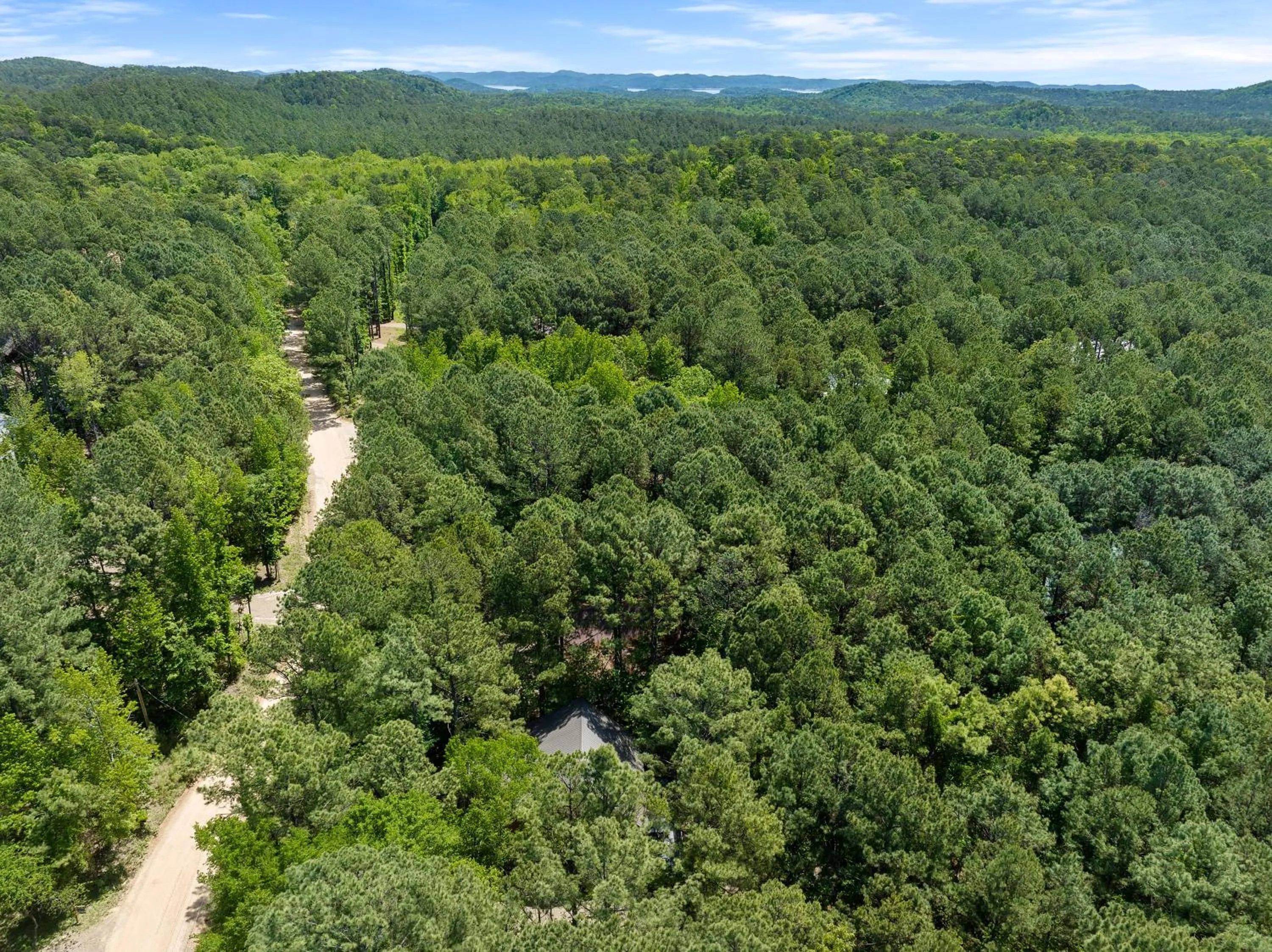 Bird's eye view in Hickory Bear - Cabin surrounded by pines, Sleeps 10, Hot Tub, Fire Pit, Arcade, Foosball Table & Deck Slide
