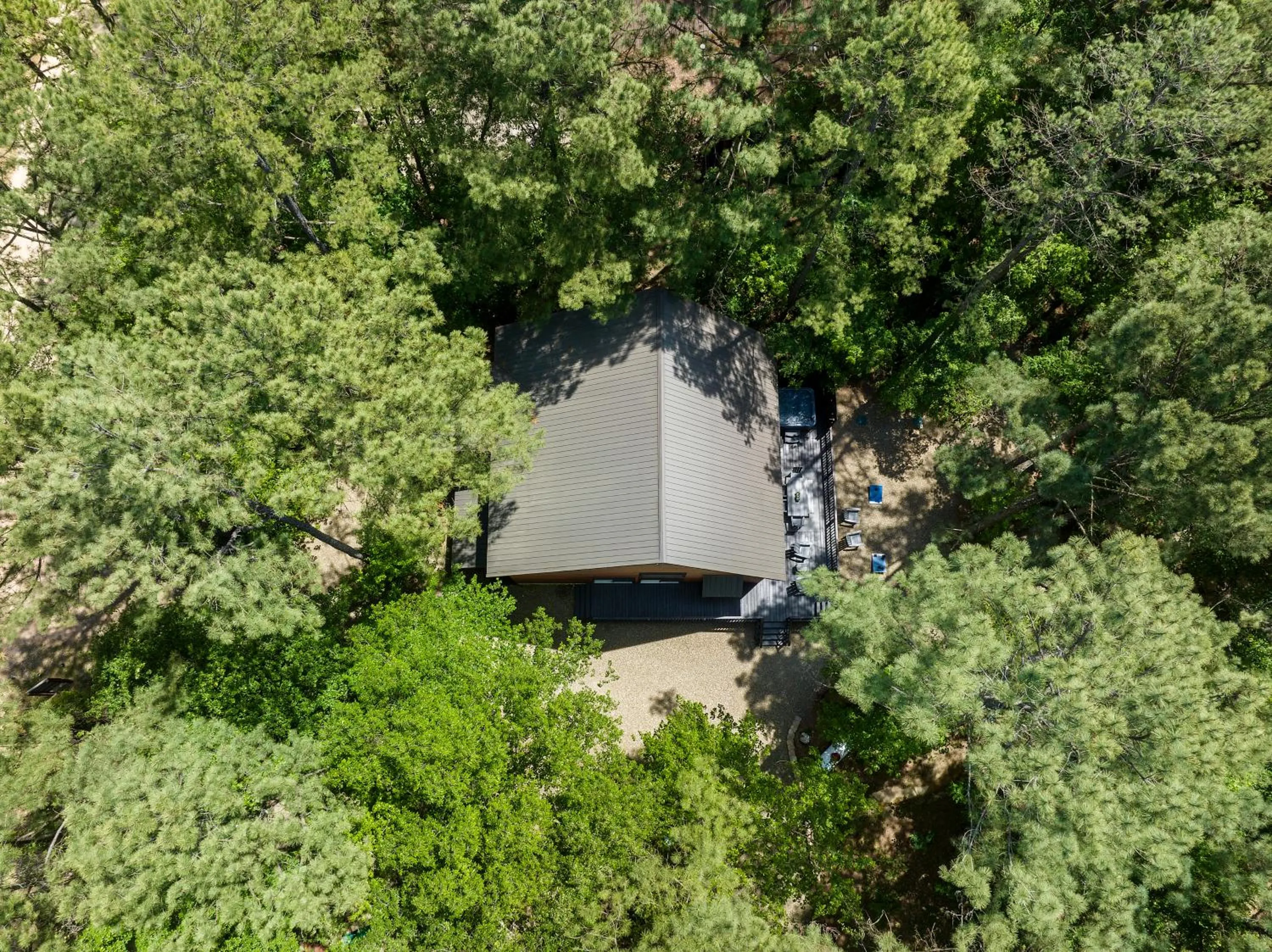 Natural landscape in Hickory Bear - Cabin surrounded by pines, Sleeps 10, Hot Tub, Fire Pit, Arcade, Foosball Table & Deck Slide