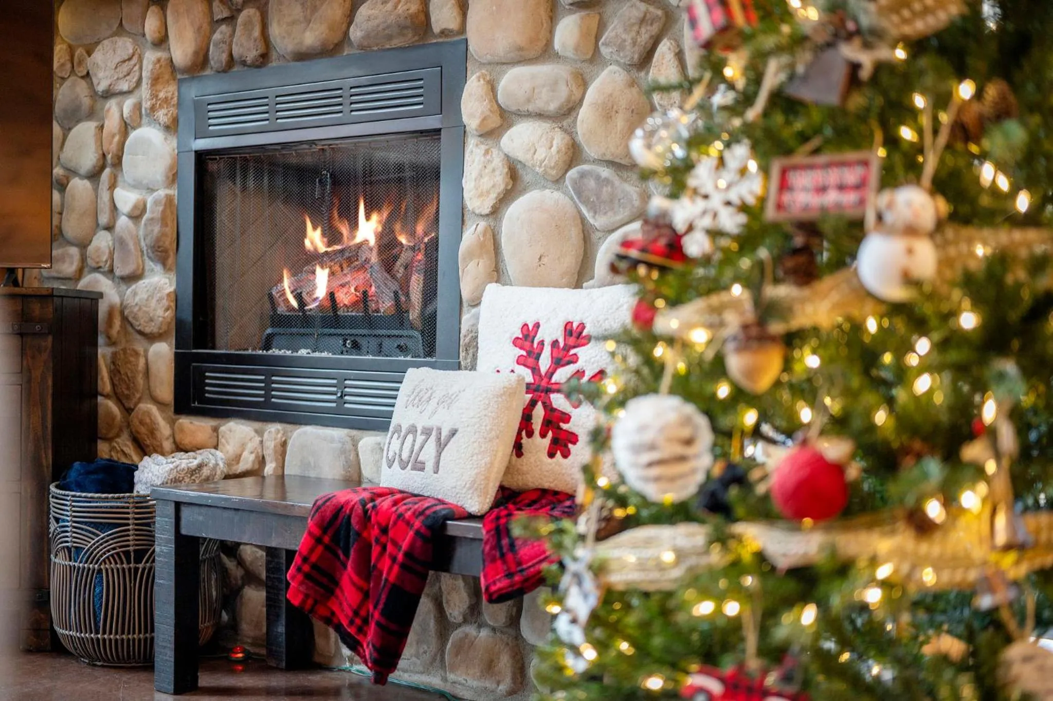 Hickory Bear - Cabin surrounded by pines, Sleeps 10, Hot Tub, Fire Pit, Arcade, Foosball Table & Deck Slide