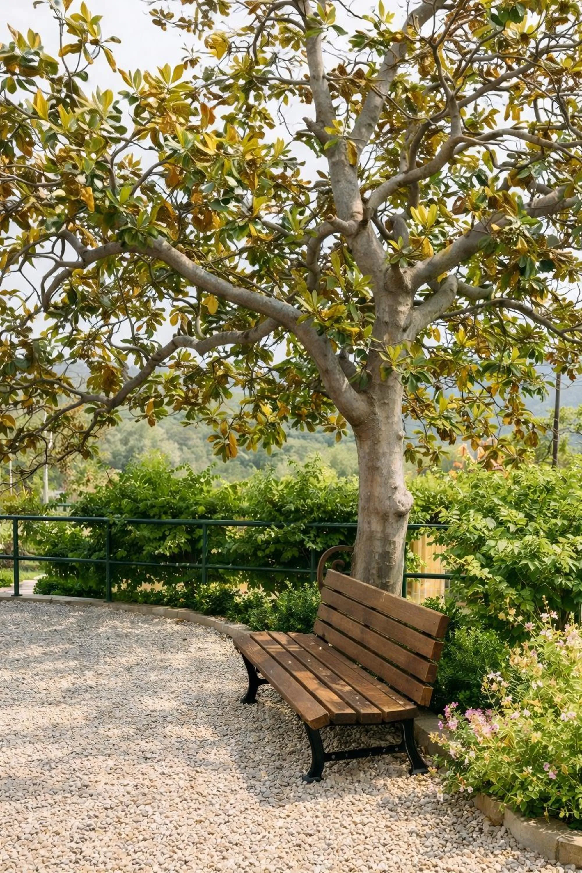Garden in Hotel Del Borgo