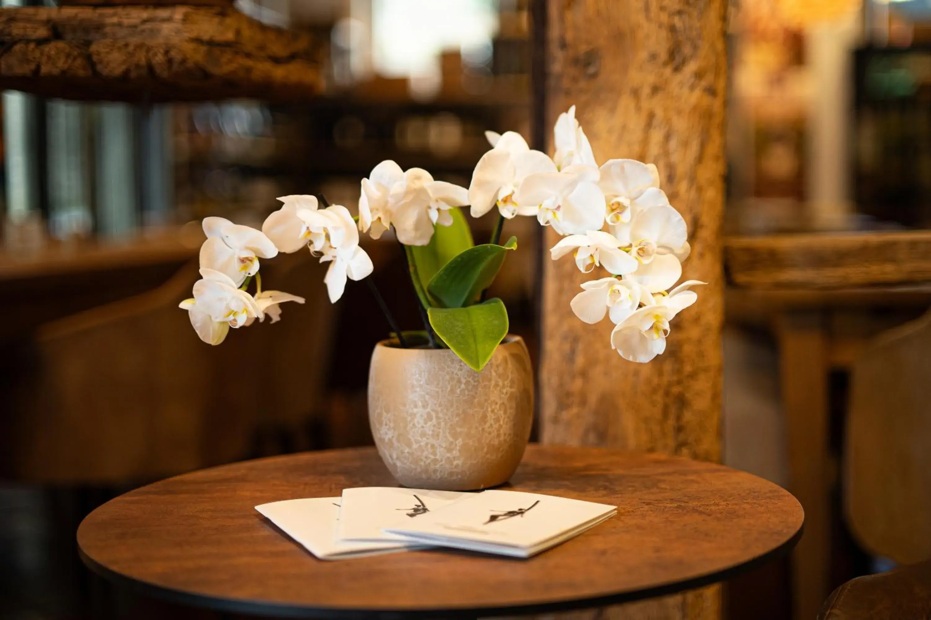 Restaurant/places to eat in Albergo Del Chianti Restaurant/places to eat in Albergo Del Chianti