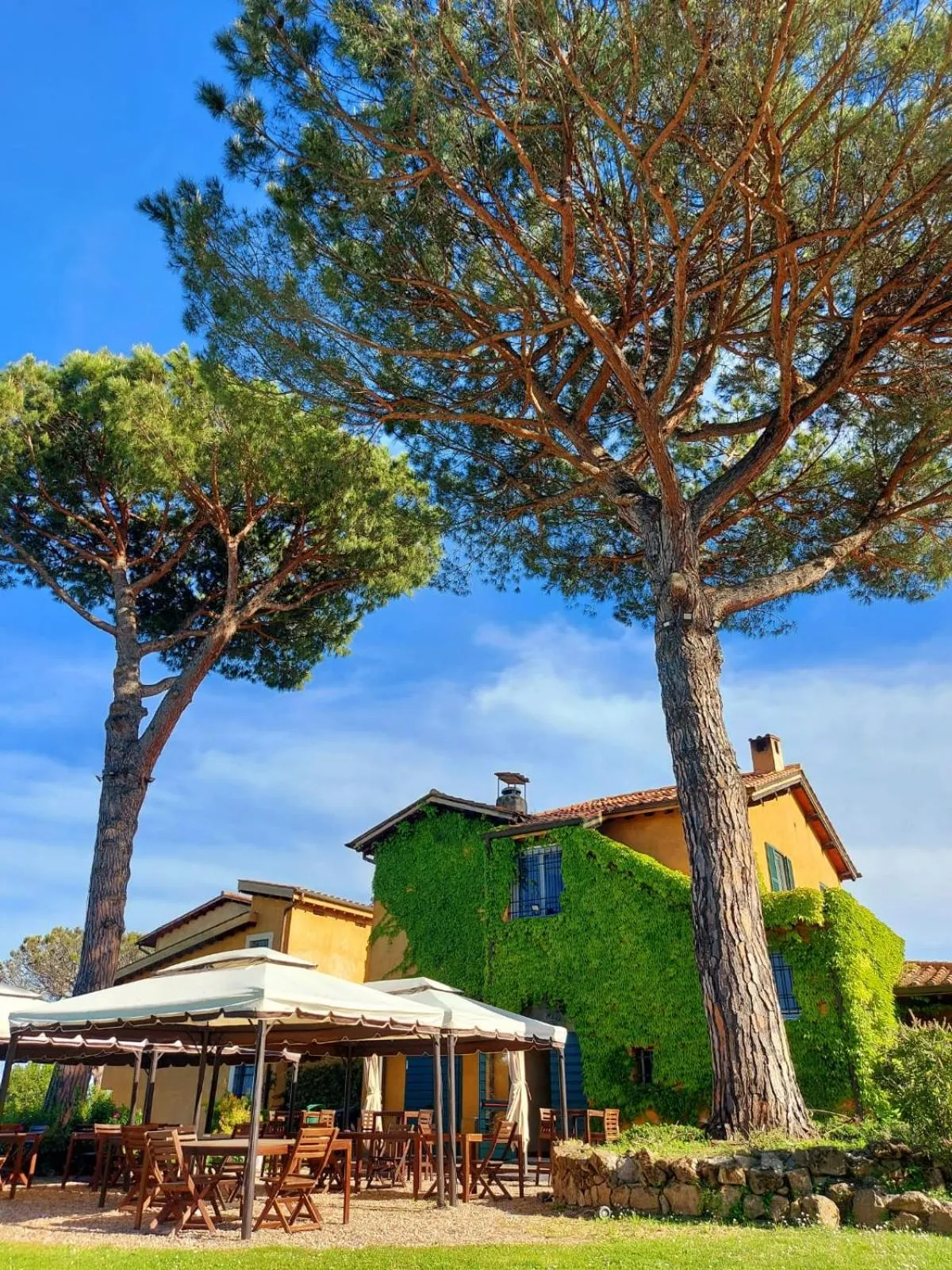 Natural landscape in Hotel Selva Candida