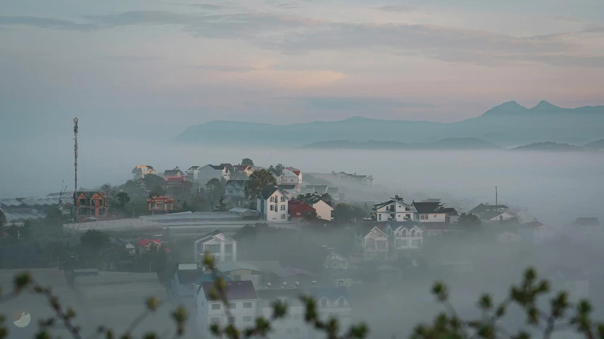 Miền Sương Khói - Home & Café