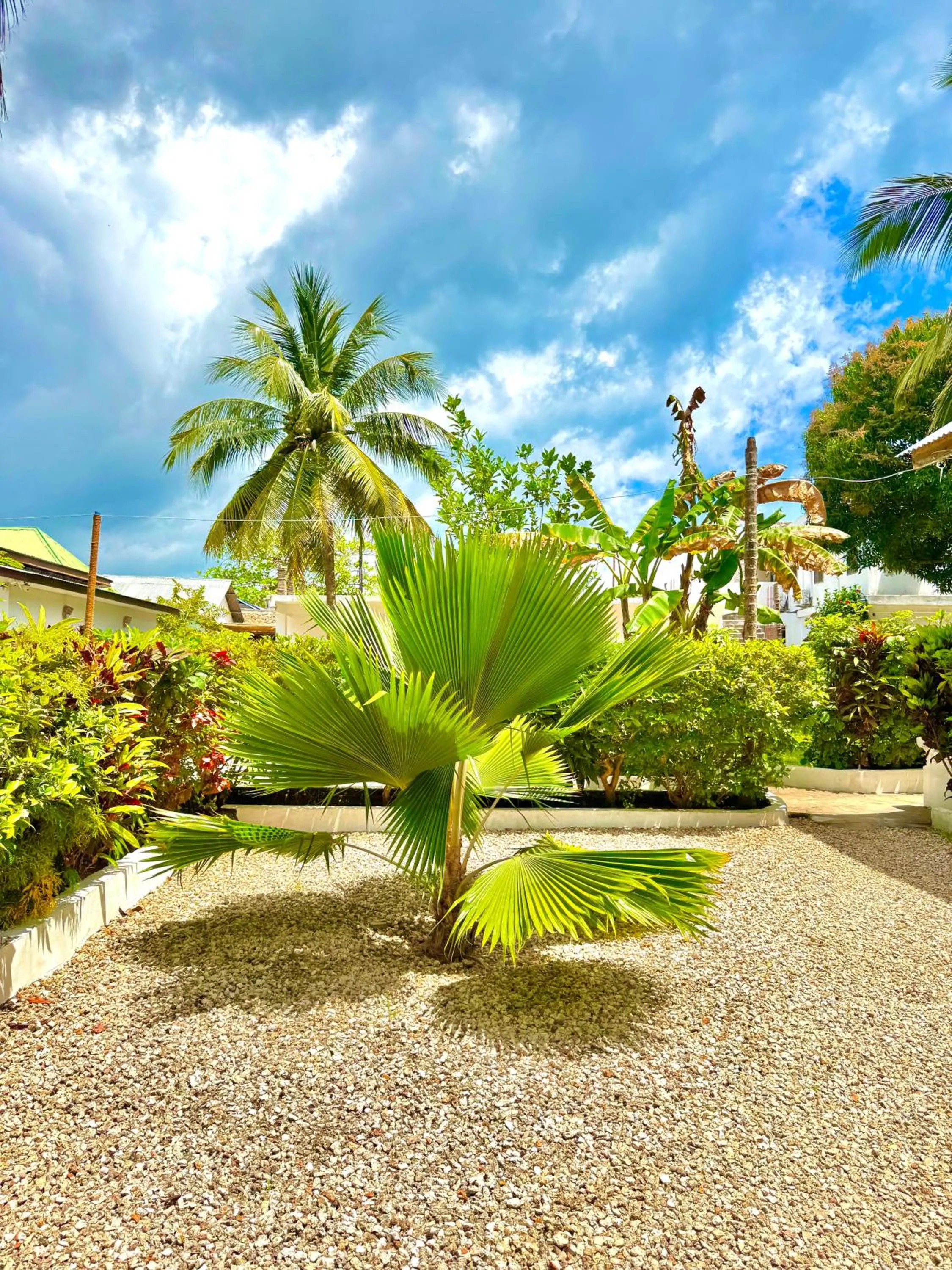 Garden view in Kihori Nungwi