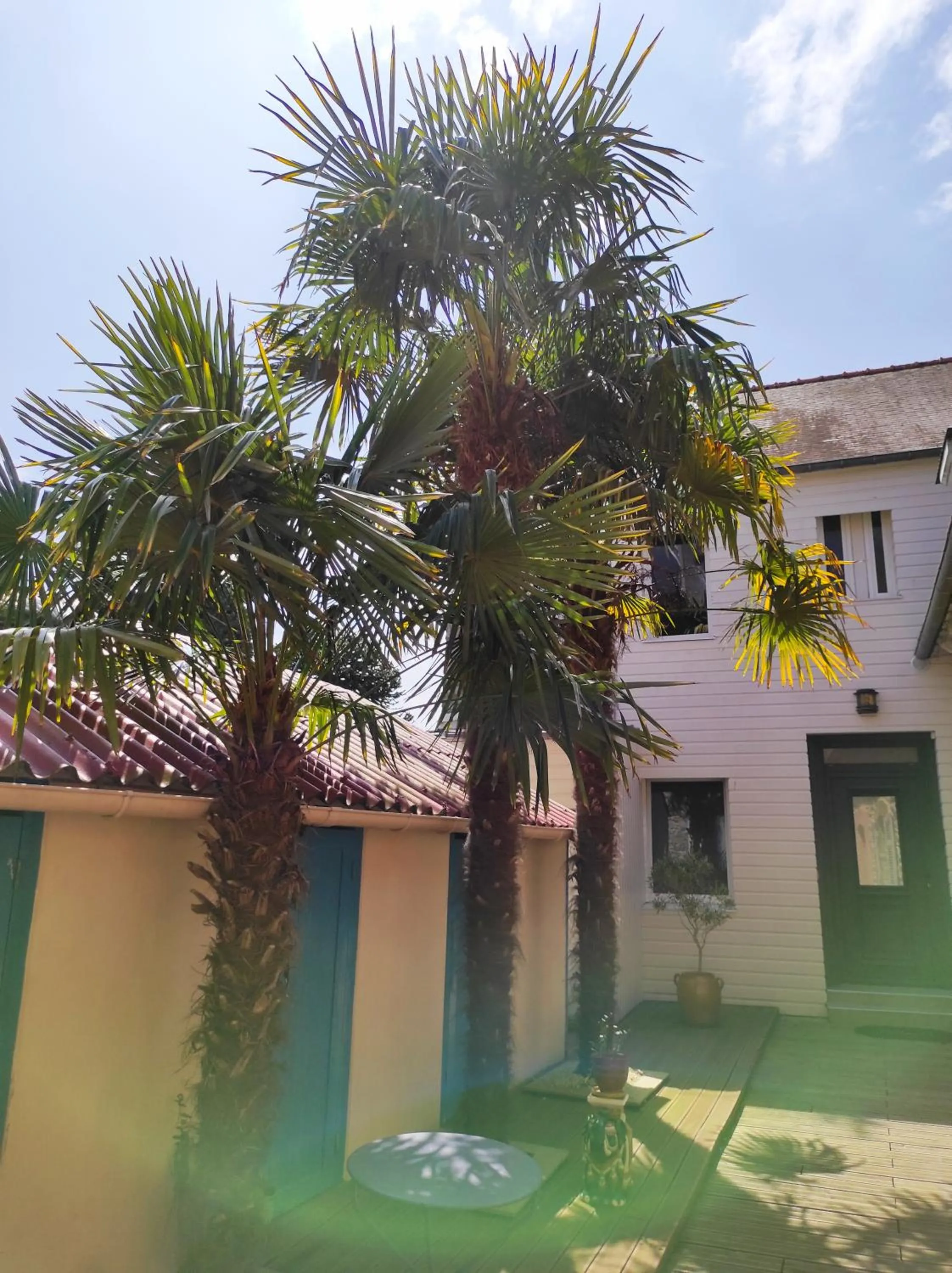 Property building in Aux Trois Palmiers