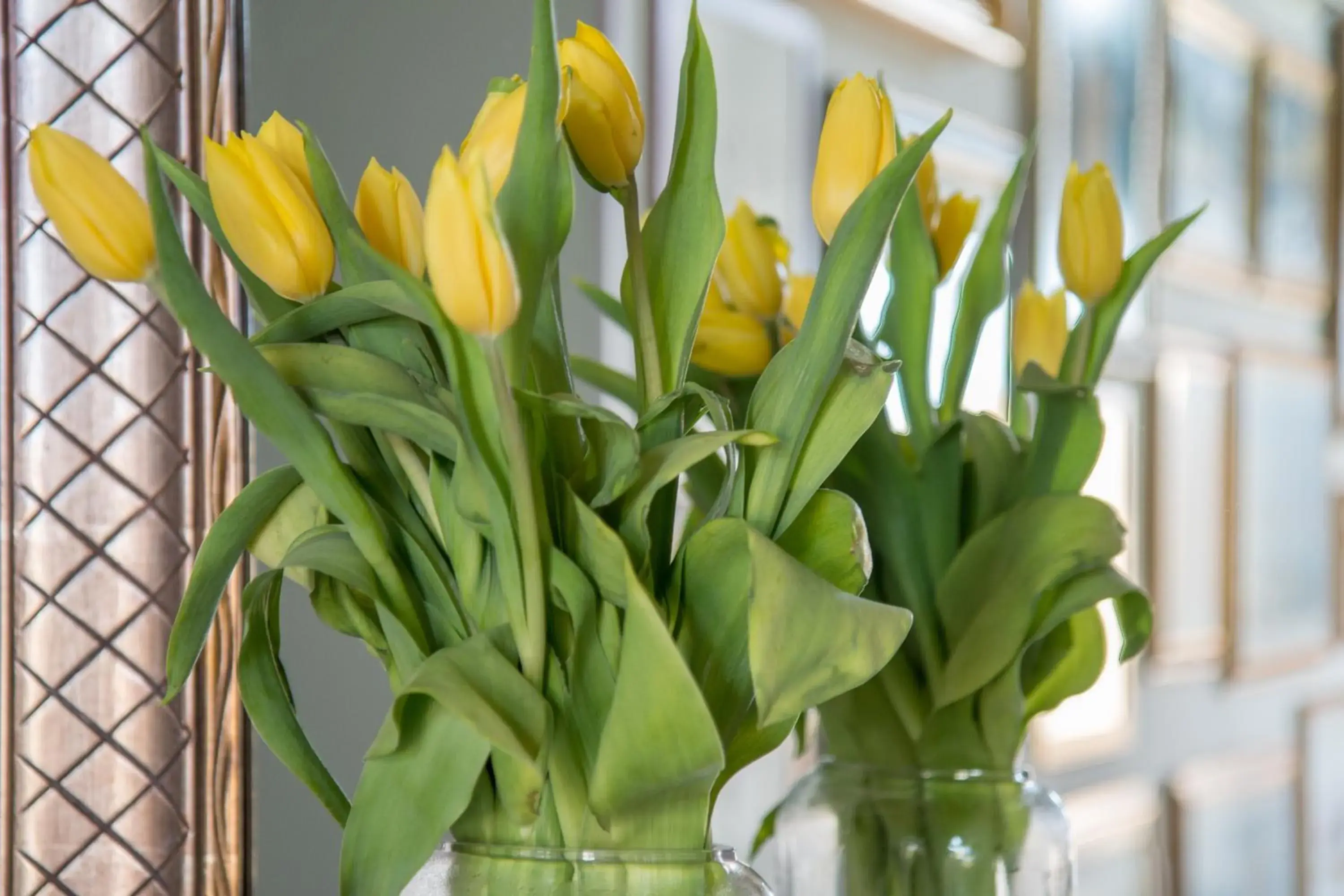 Restaurant/places to eat in Dimora Caiammari Luxury Hotel & Spa Restaurant/places to eat in Dimora Caiammari Luxury Hotel & Spa