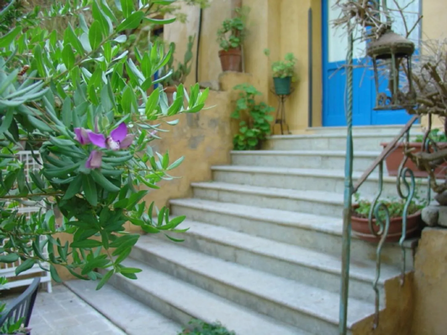 Property building in Duca di Castelmonte