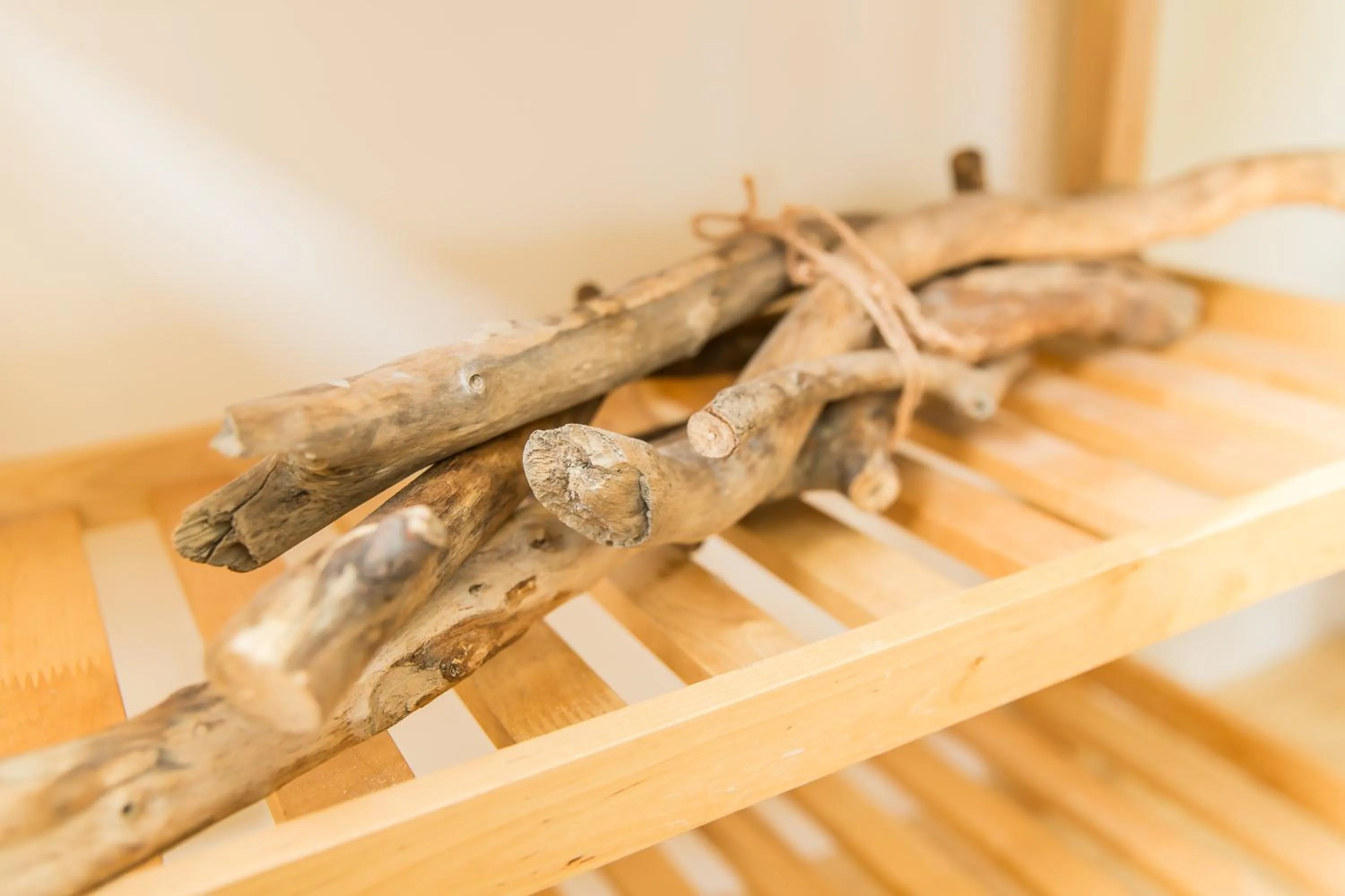 Communal lounge/ TV room in Mr. Lobster’s Secret Den design hostel