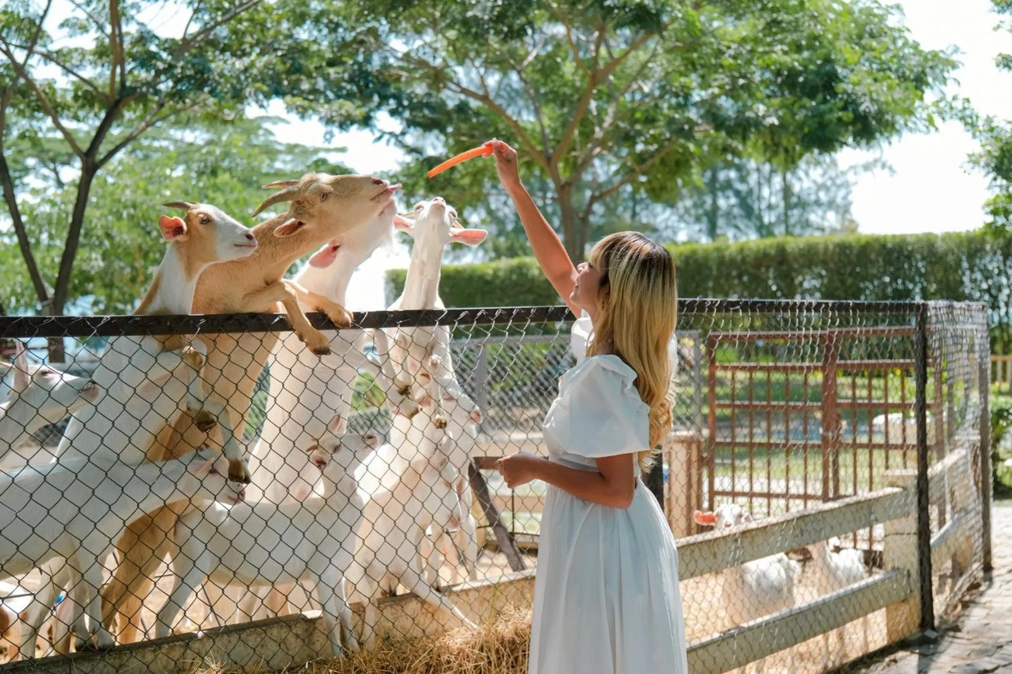 Day in Estella Khao Yai