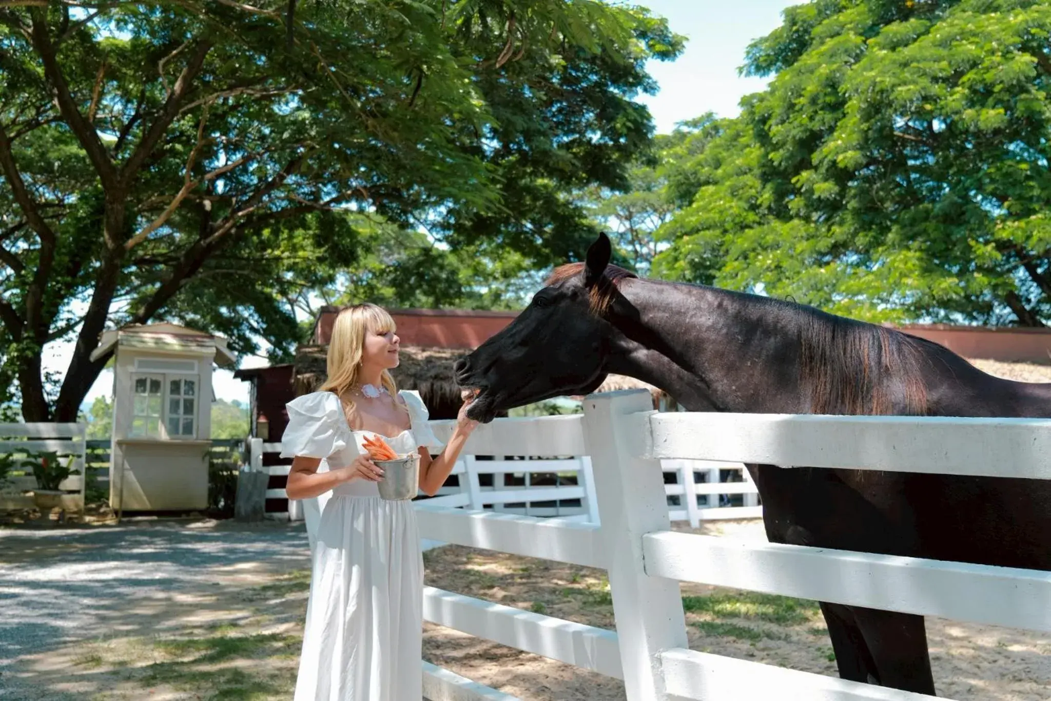 Day in Estella Khao Yai Day in Estella Khao Yai