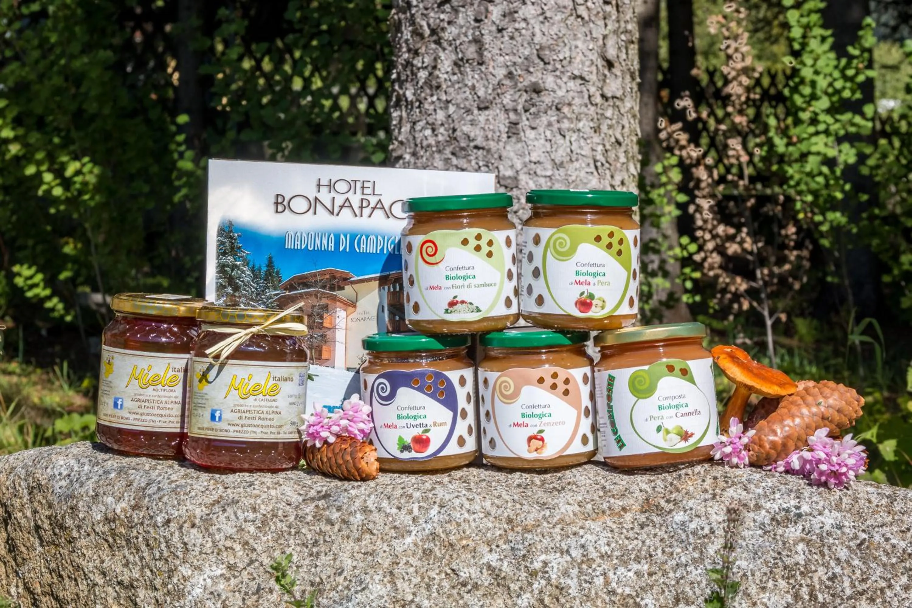 Day in Hotel Bonapace ***S