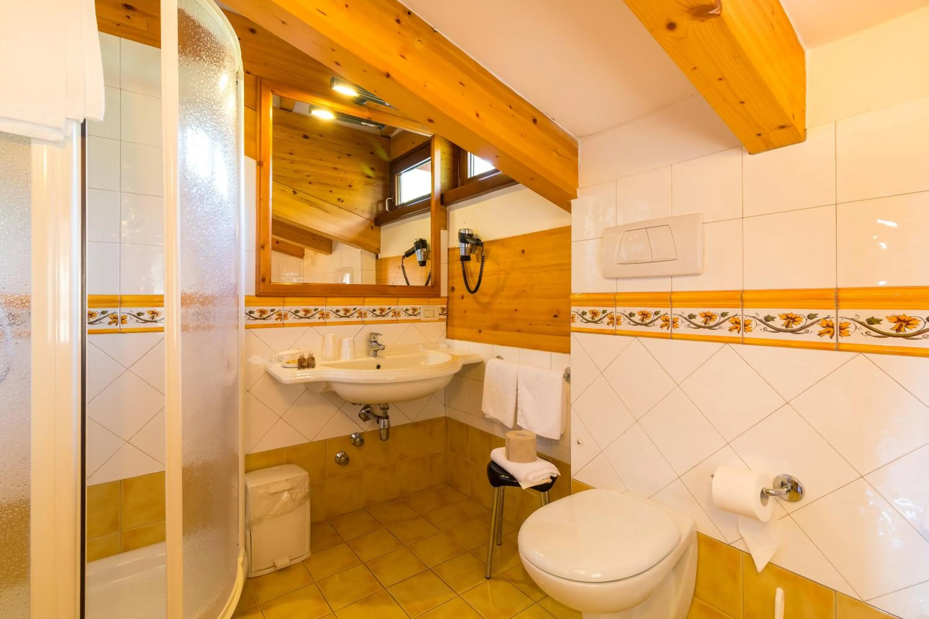 Shower in Hotel Bonapace ***S