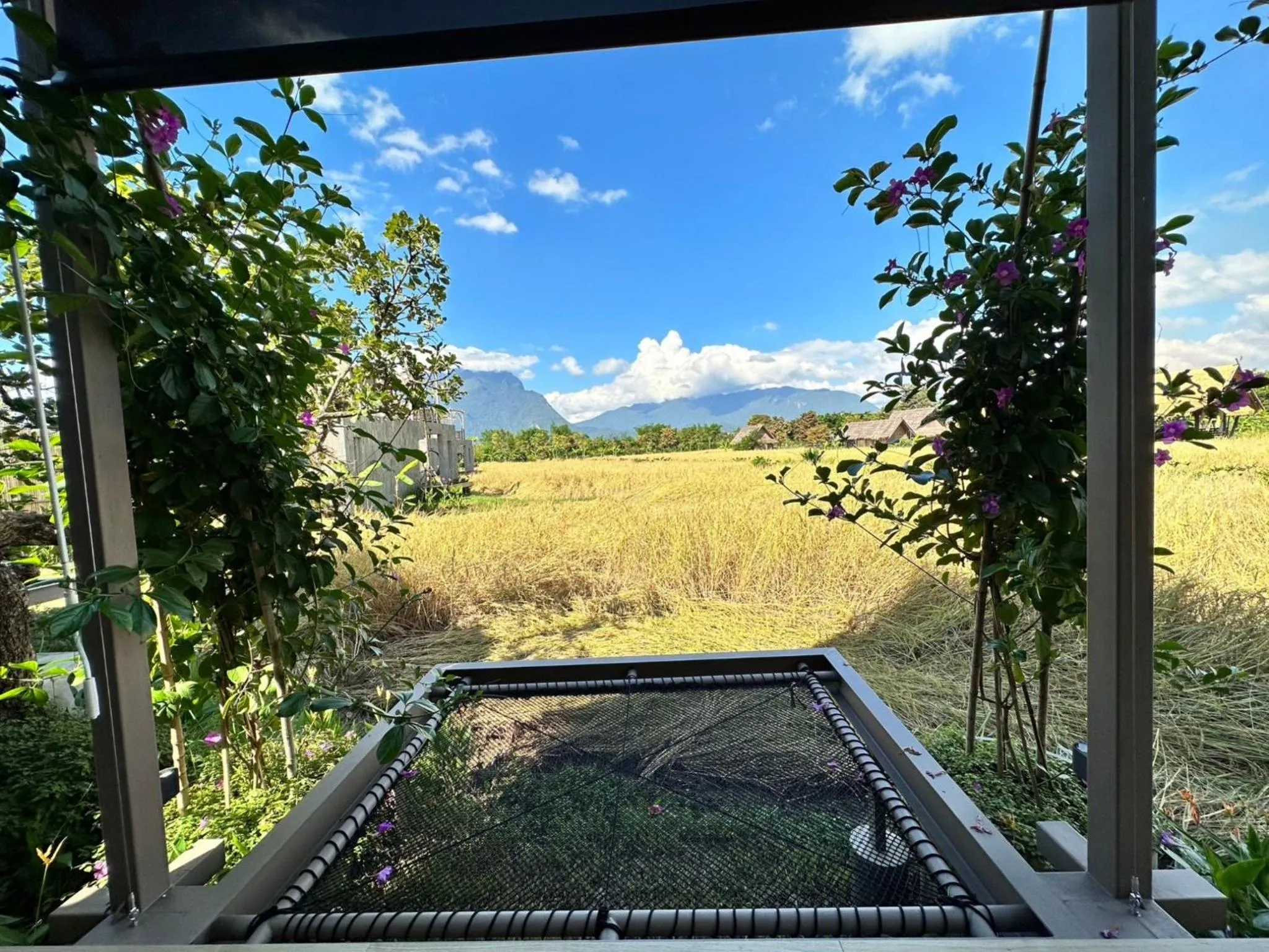 Natural landscape in Yatika Boutique Chiang Dao