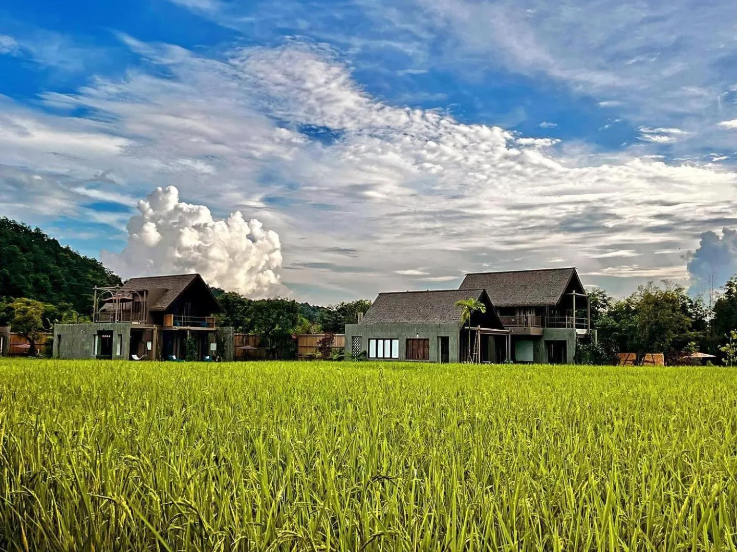 Property building in Yatika Boutique Chiang Dao