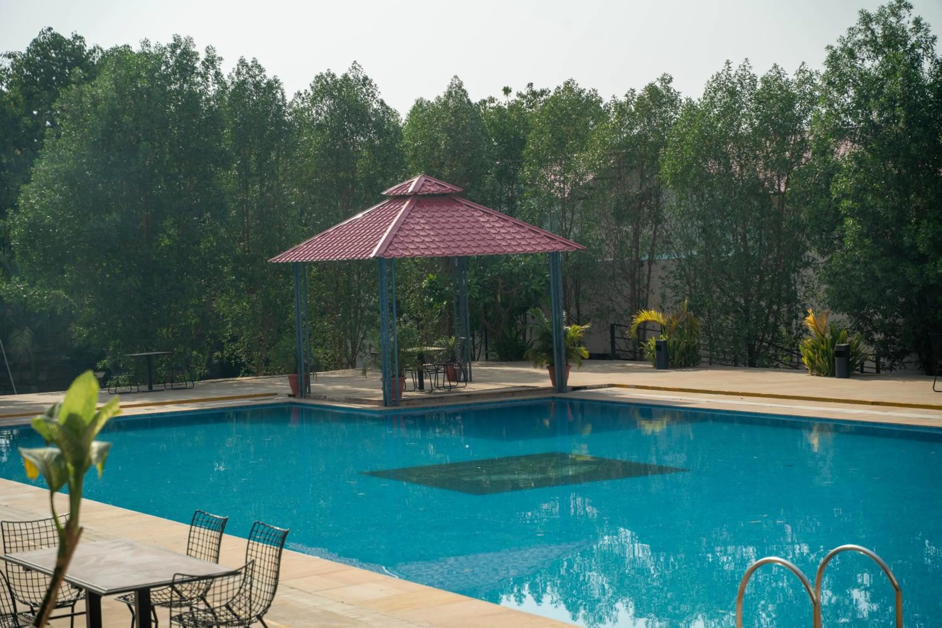 Swimming pool in Bamboo Saa Mulberry Resort Pushkar