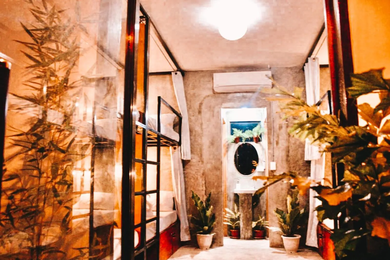 The Hangover Hostel