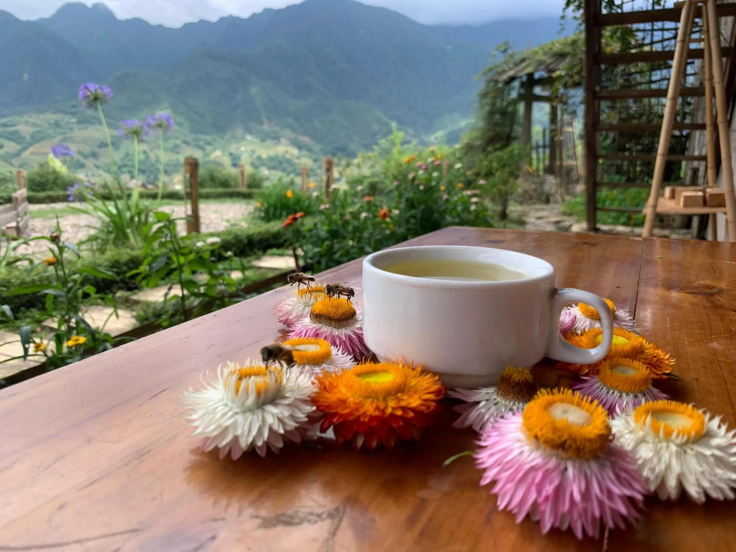 Restaurant/places to eat in Sapa Rosie House