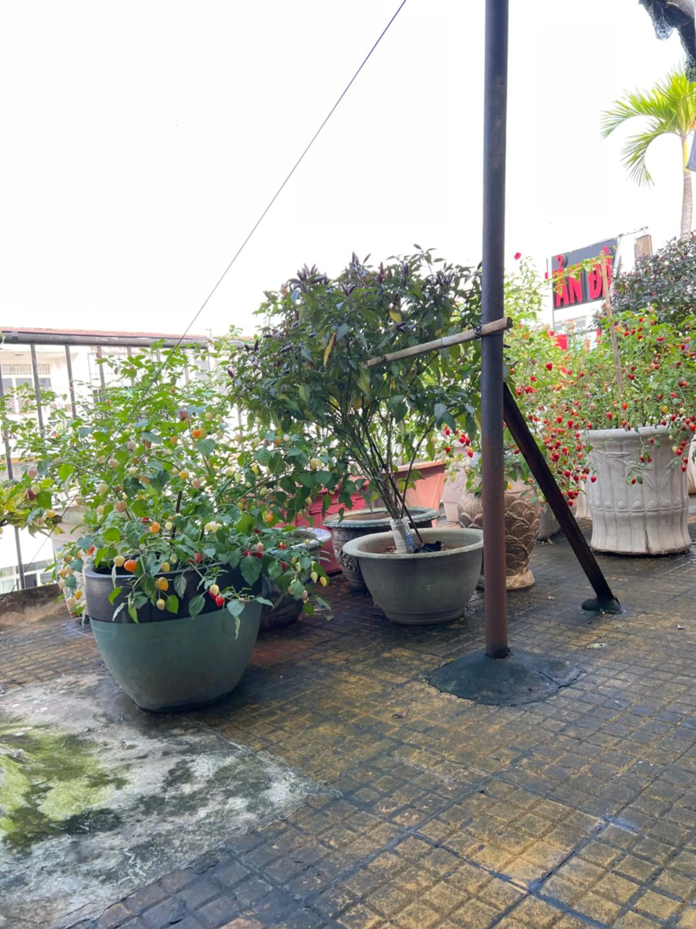 Balcony/Terrace in Tan Da Hotel
