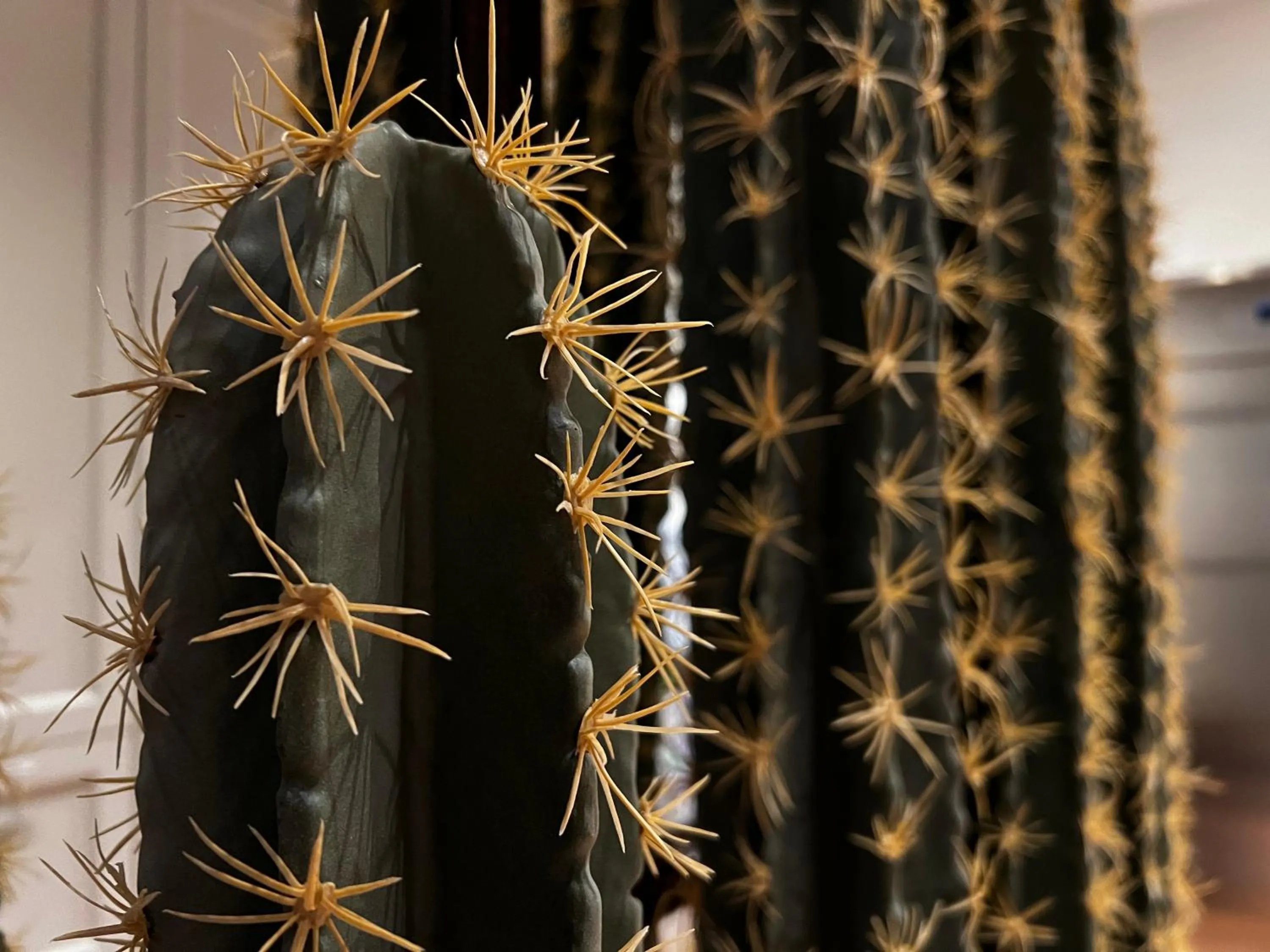 Decorative detail in Porta Nera Private Living - adults only