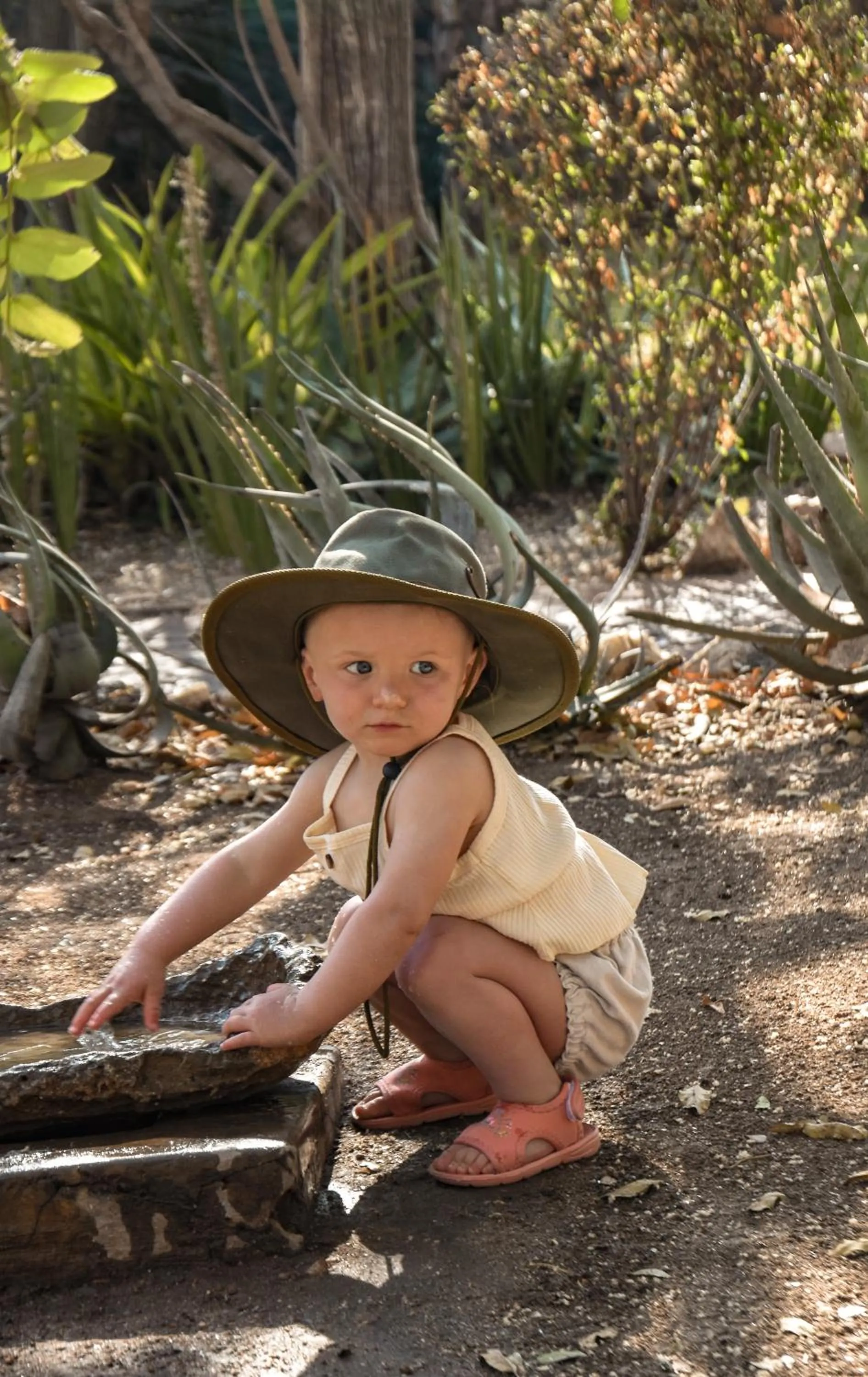 Day in MILIMA Big 5 Safari Lodge