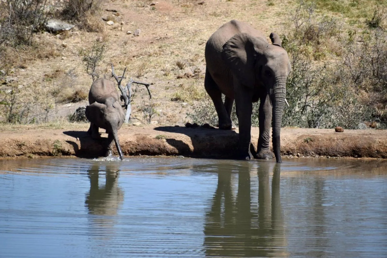 Day in MILIMA Big 5 Safari Lodge