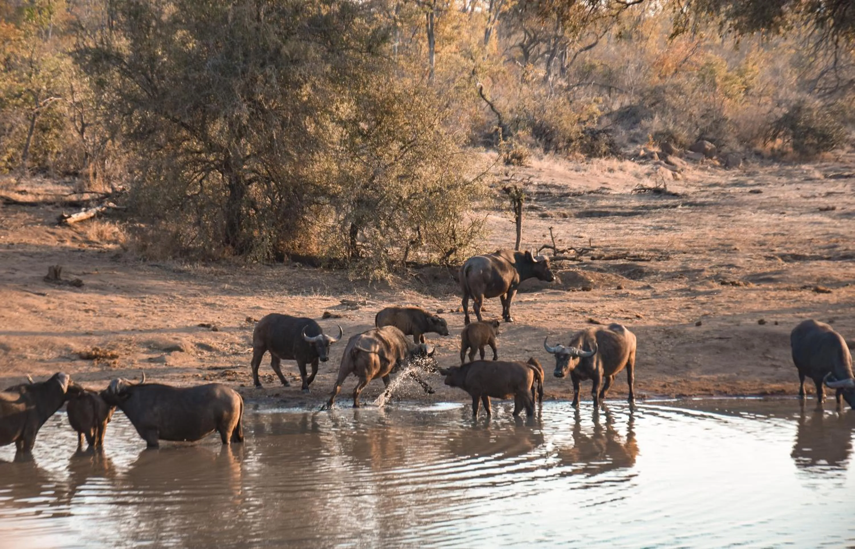 Day in MILIMA Big 5 Safari Lodge