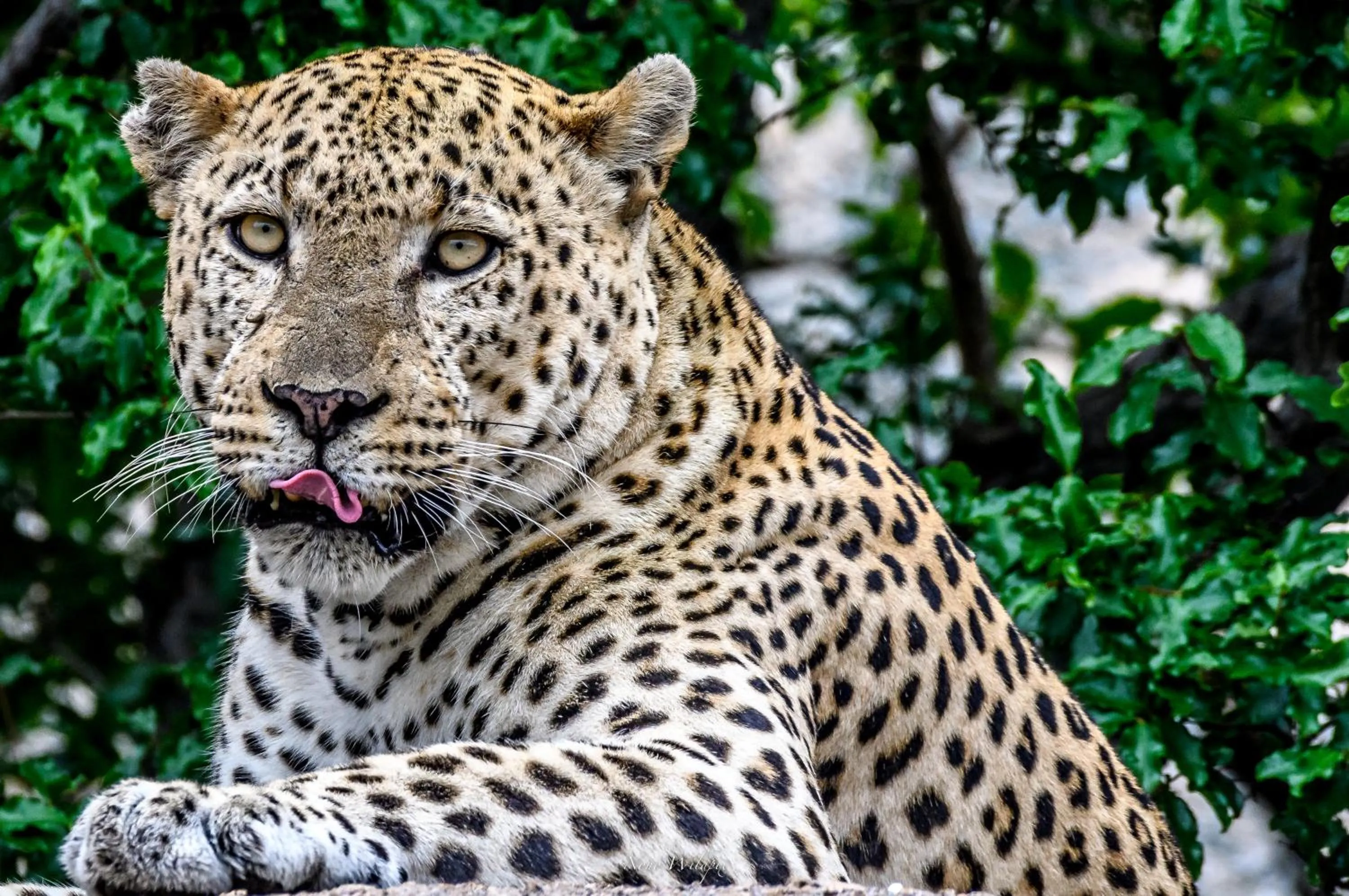 Natural landscape in MILIMA Big 5 Safari Lodge