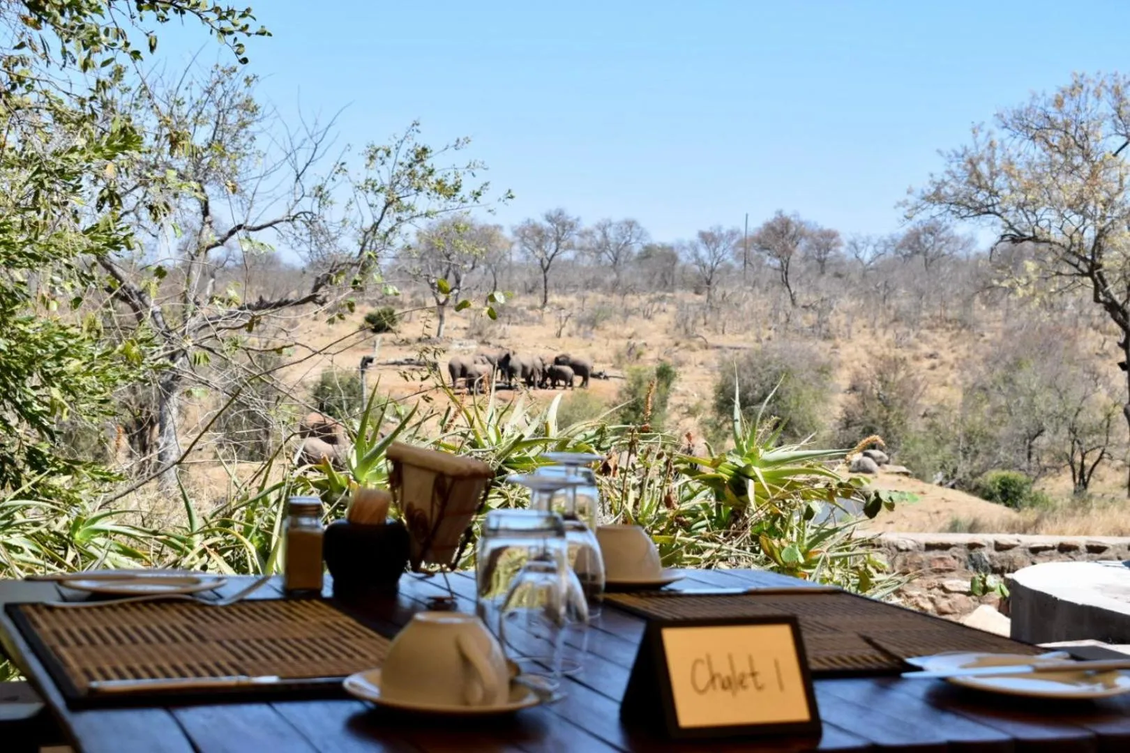 Restaurant/places to eat in MILIMA Big 5 Safari Lodge