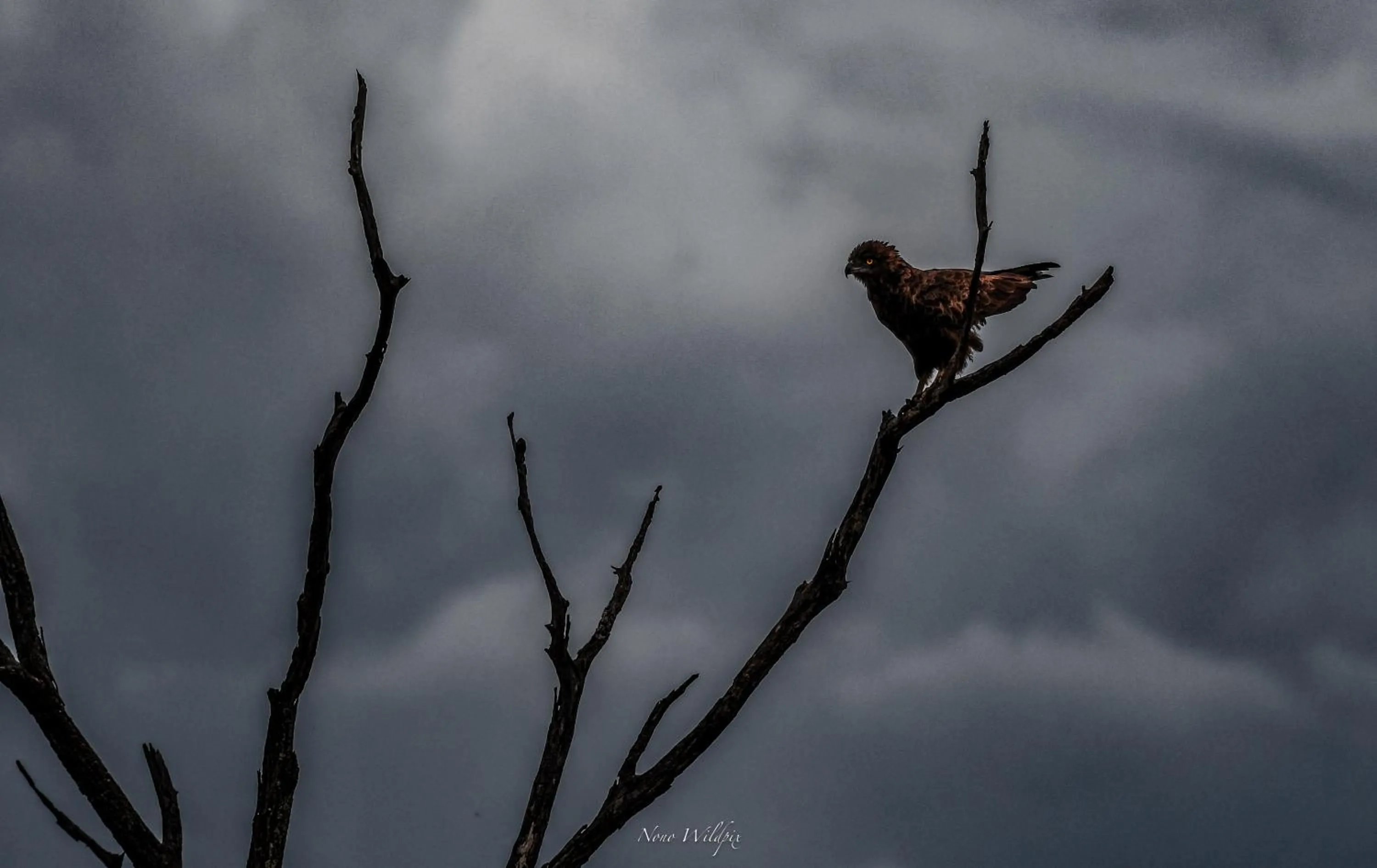 Natural landscape in MILIMA Big 5 Safari Lodge