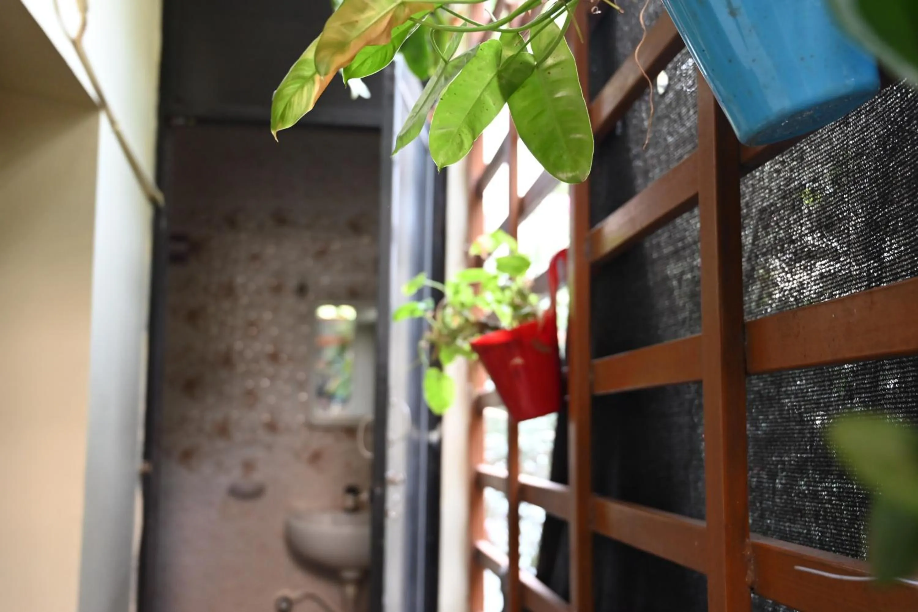 Balcony/Terrace in BACPAC MONKEY COLIVING