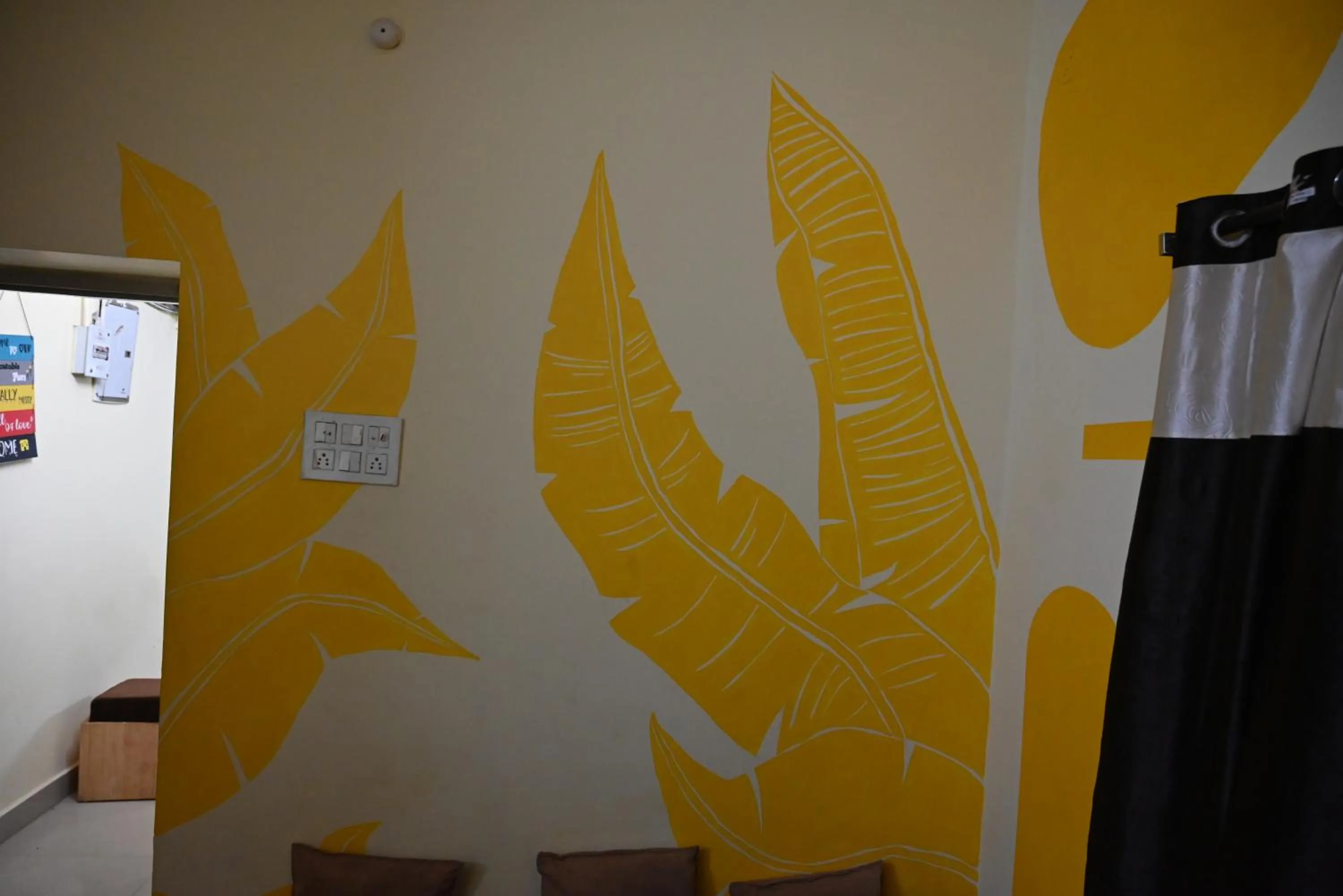 Entertainment in BACPAC MONKEY COLIVING