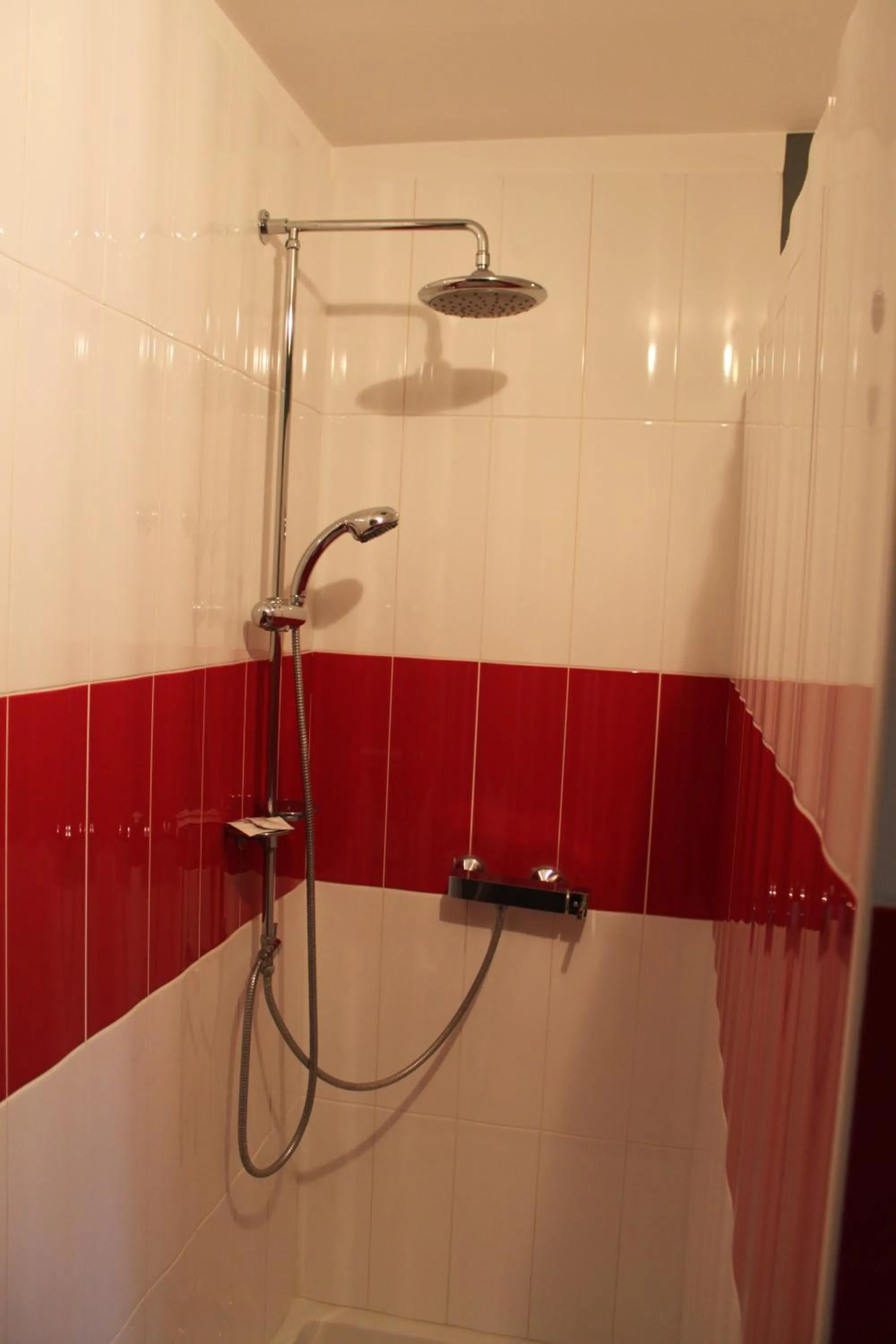 Shower in Chambres d'hôtes L'Aubaine avec jacuzzi