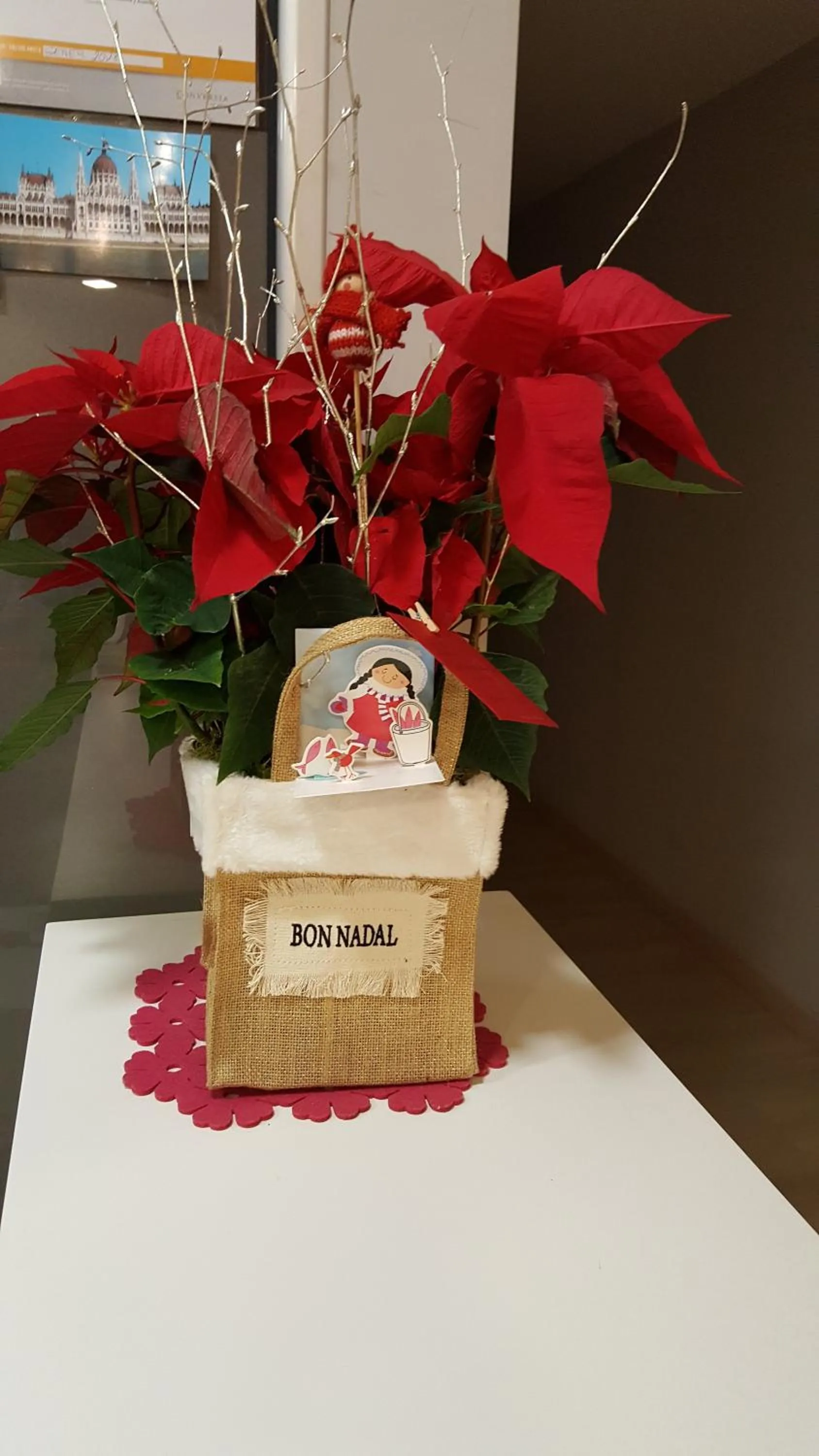 Text overlay in Hostal Aslyp 114