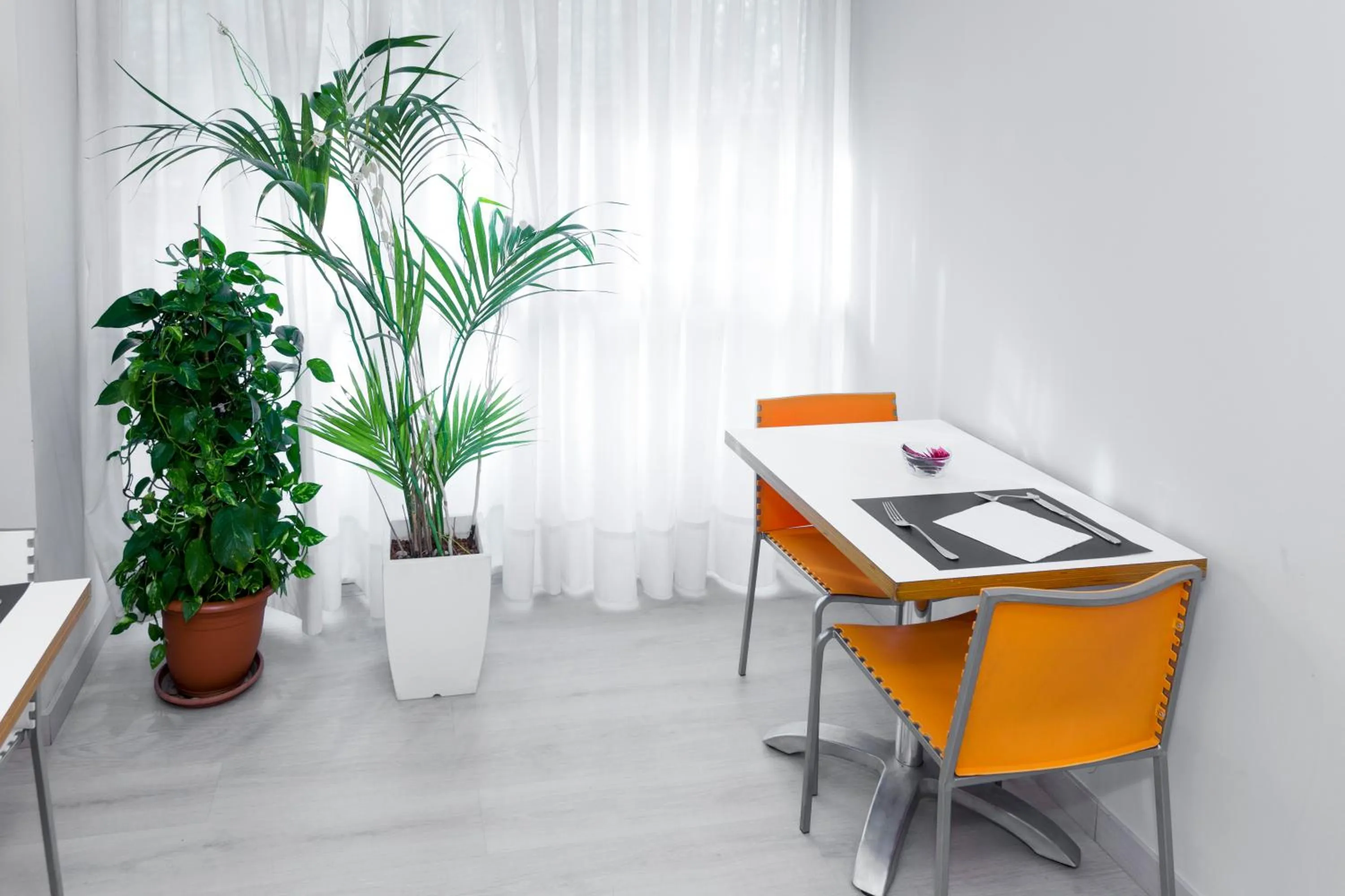 Decorative detail in Hostal Aslyp 114