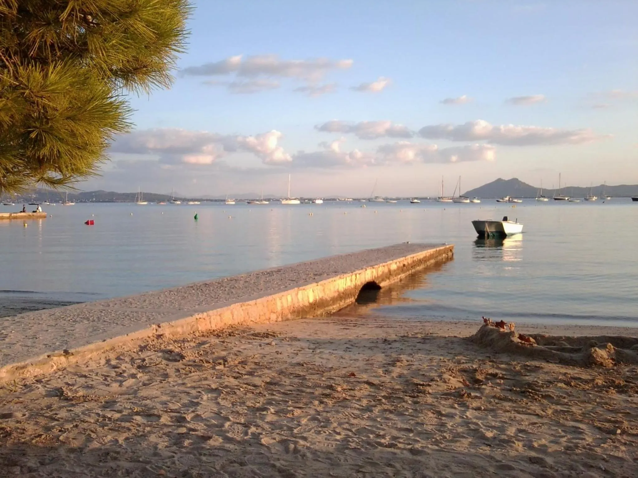 Beach in Apartamentos Llevant
