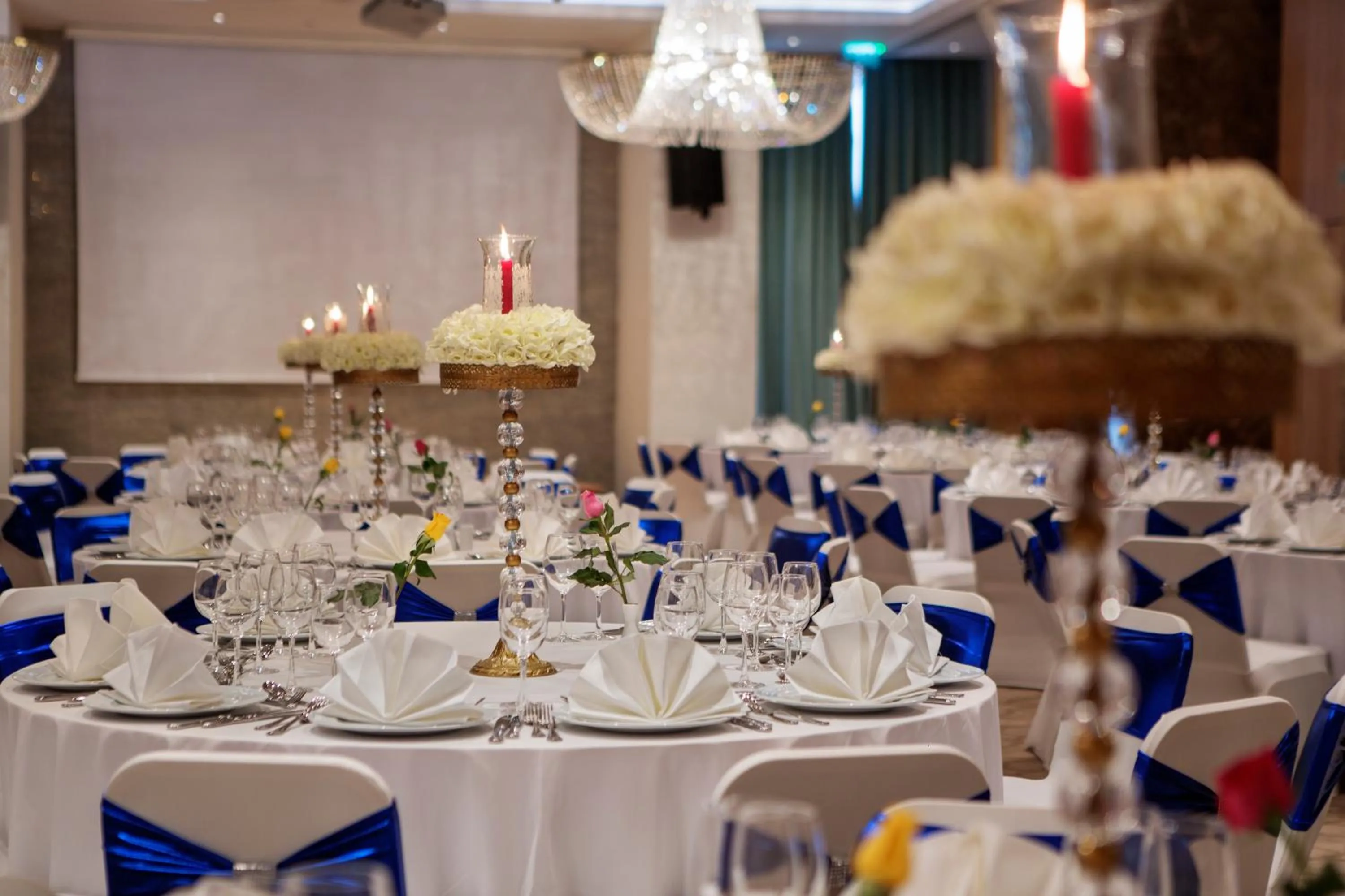 Banquet/Function facilities in Wyndham Garden Diyarbakır