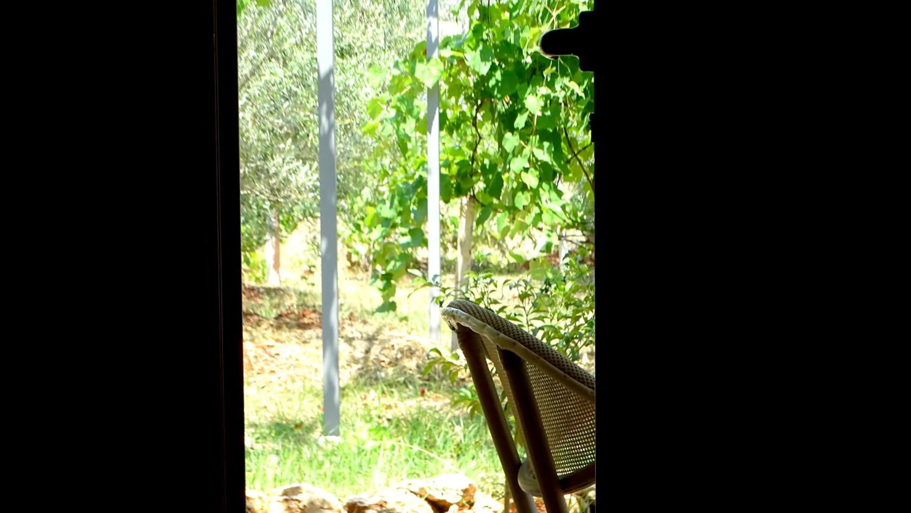 Garden in Limni Resort