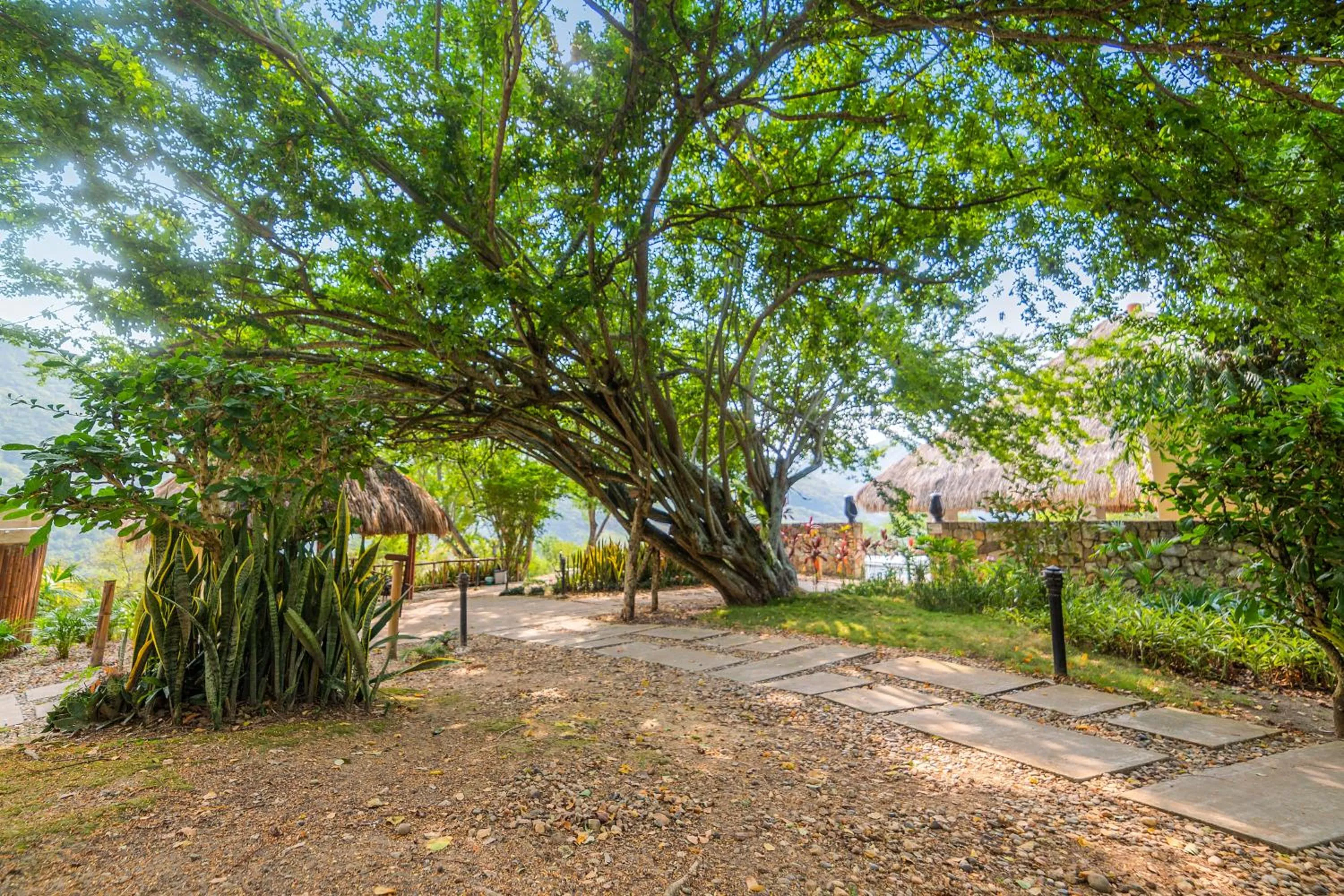 Garden view in Entremonte Wellness Hotel and Spa