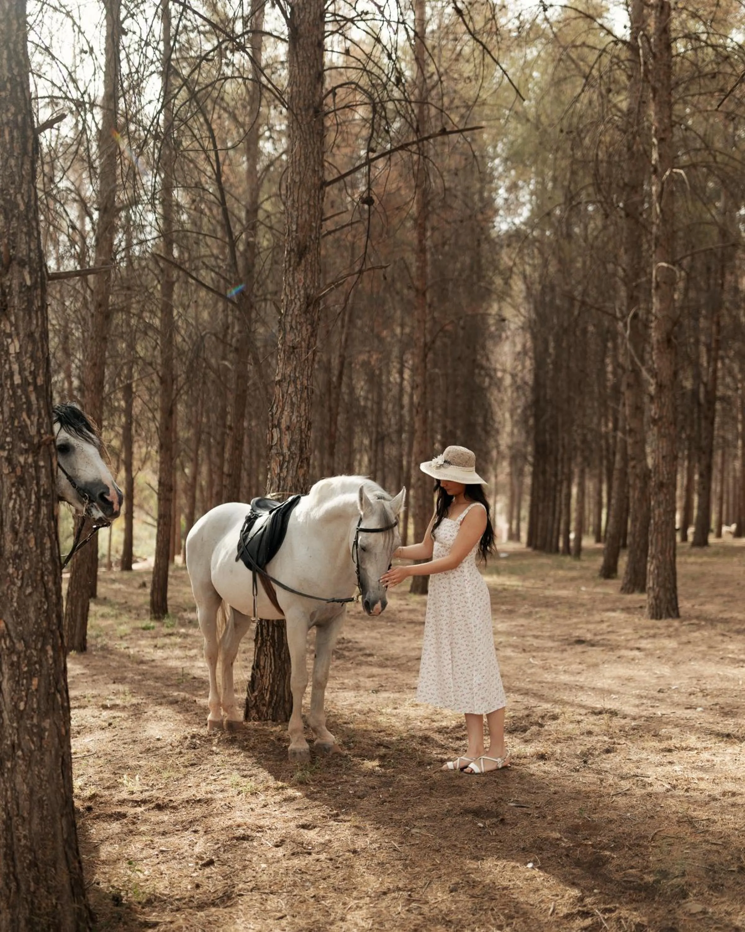 Activities in Olinto, Atlas Mountain Retreat - adults only