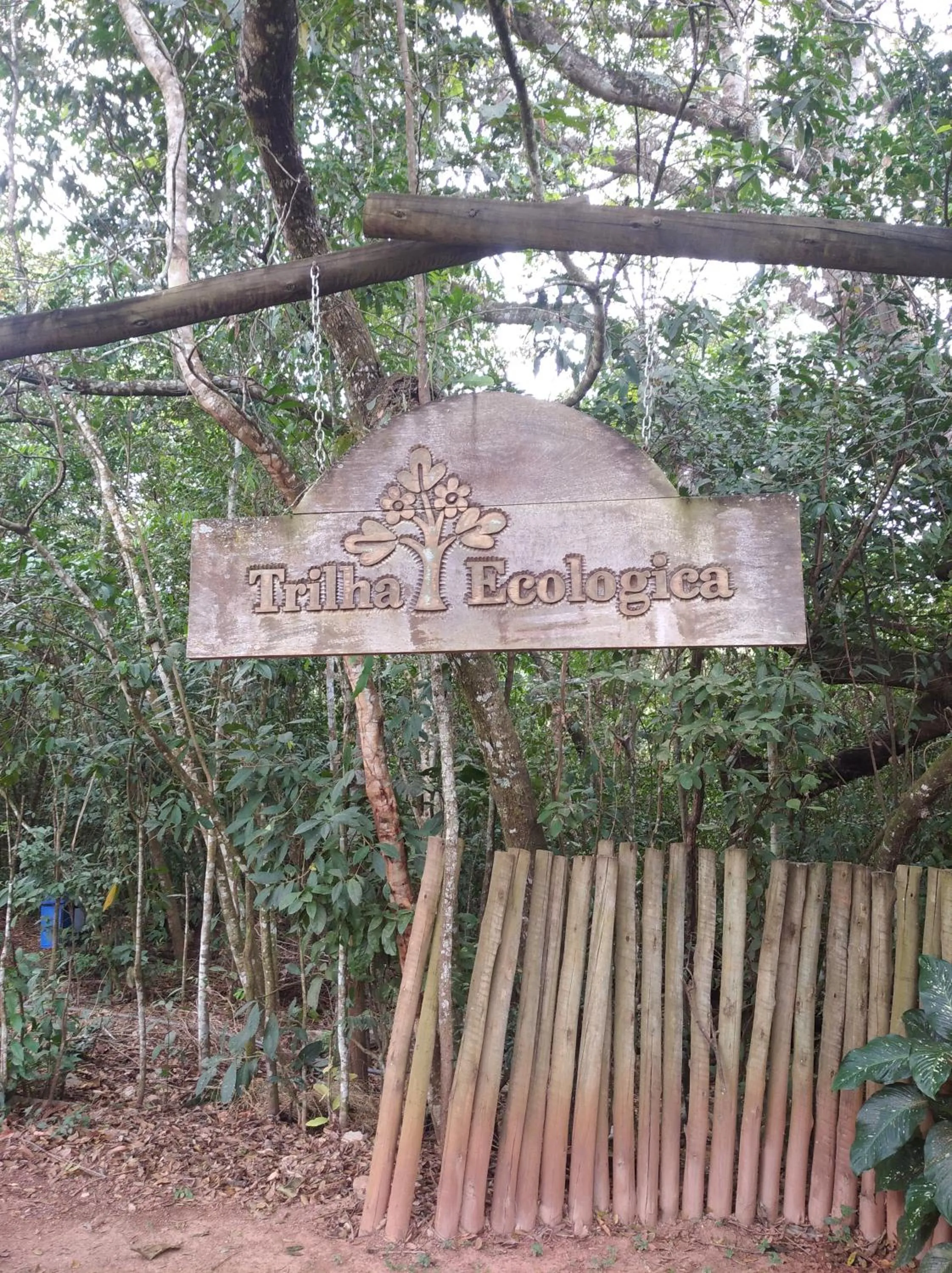 Natural landscape in Ecologic Ville Resort - Oficial