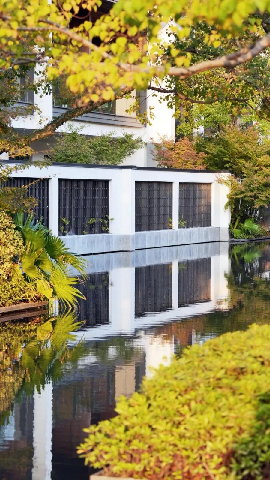 Autumn in Kimpton Bamboo Grove Suzhou by IHG