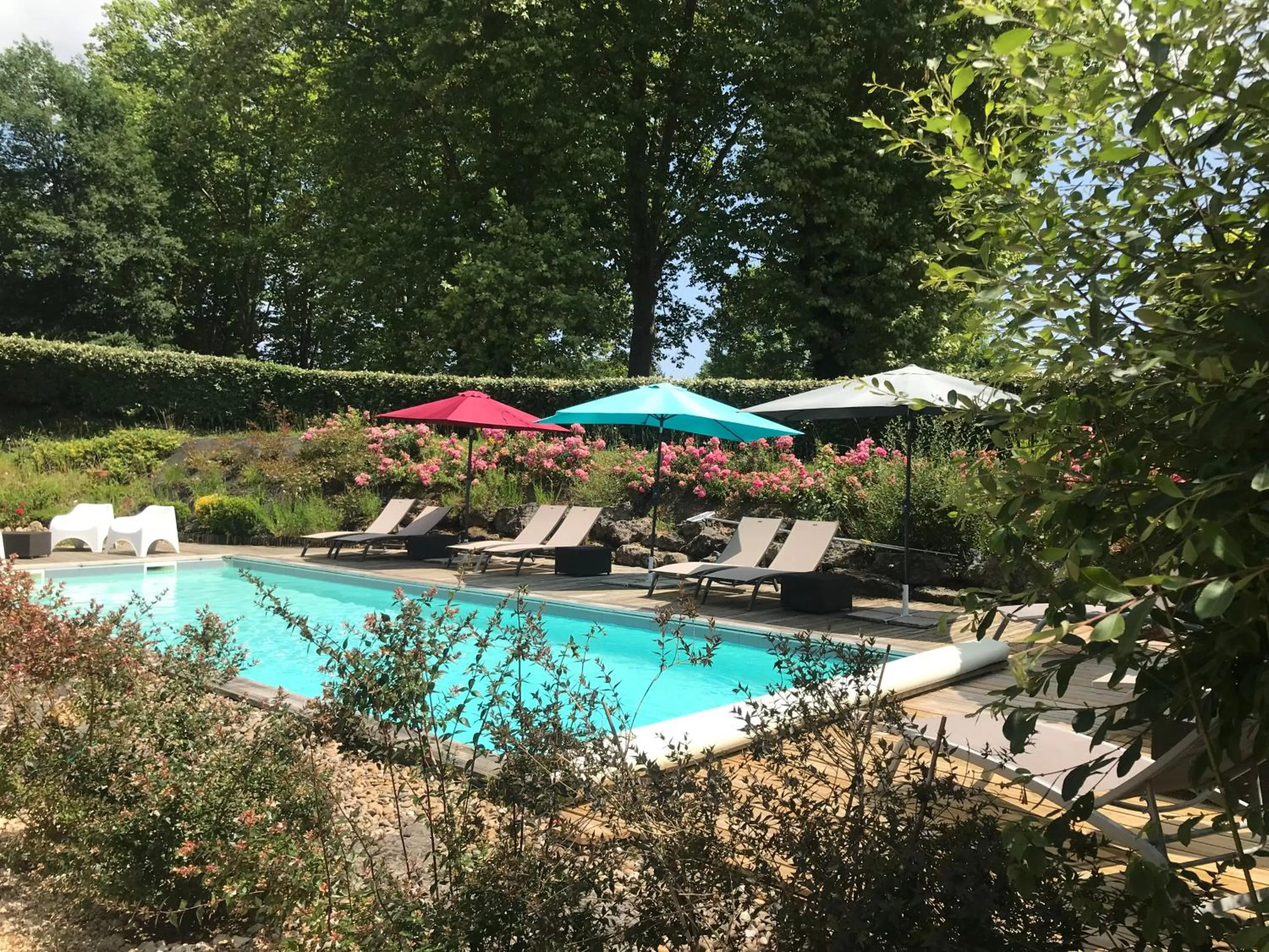 Swimming pool in Le Clos du Peintre