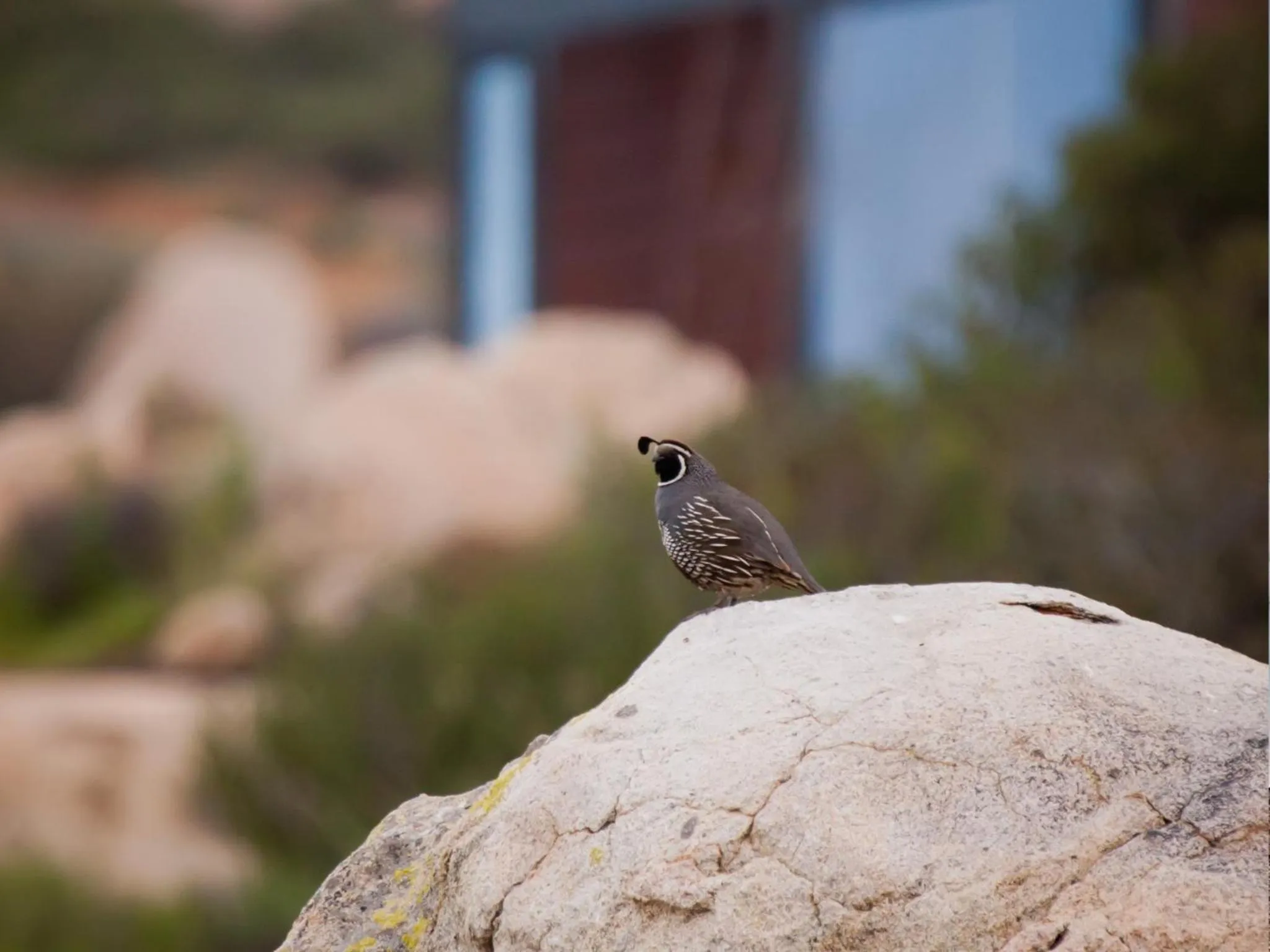 Day in Encuentro Guadalupe
