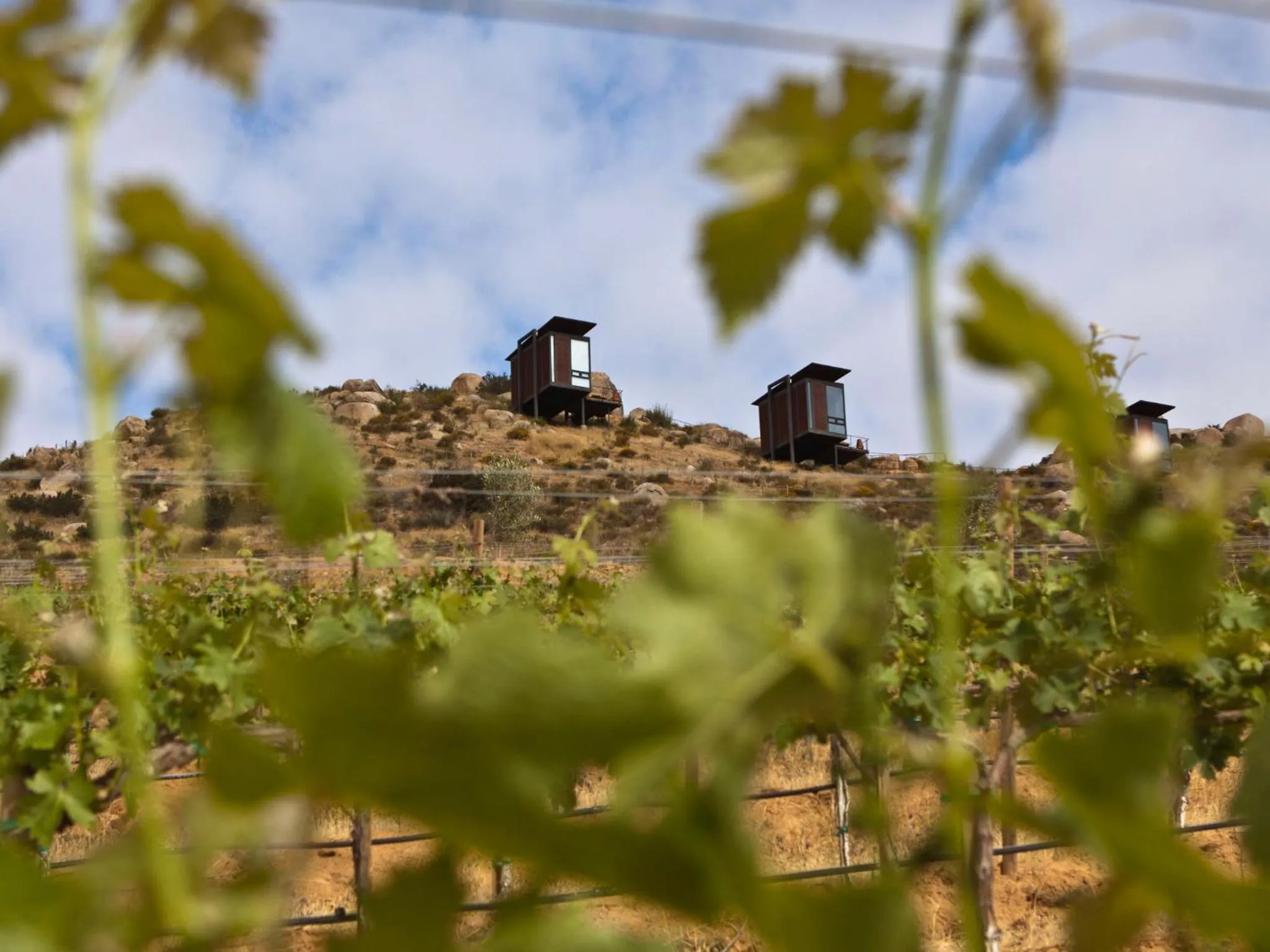 Property building in Encuentro Guadalupe