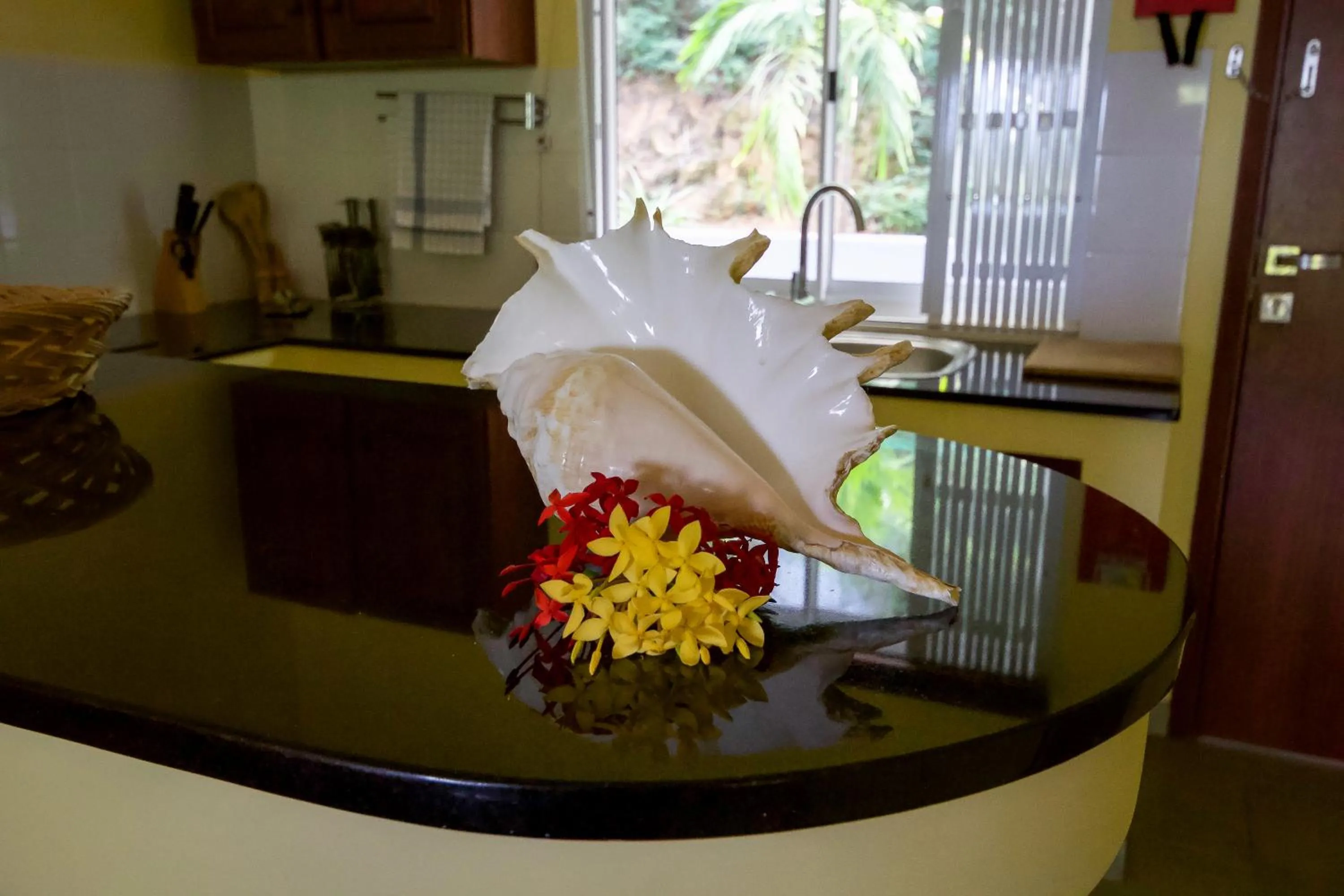Kitchen or kitchenette in Surfers Beach Self Catering Chalets