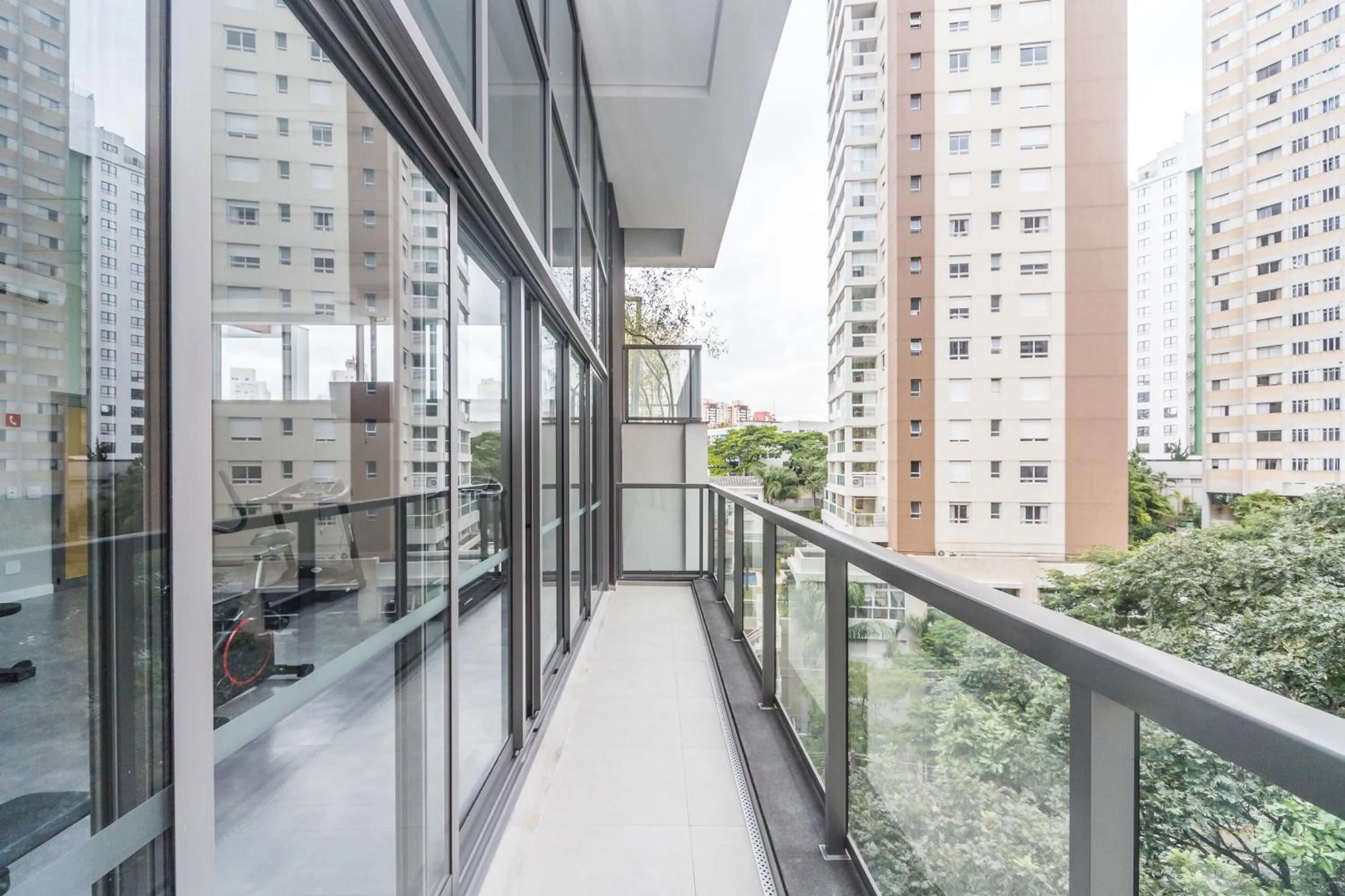 Day in Charlie Domy Paraíso