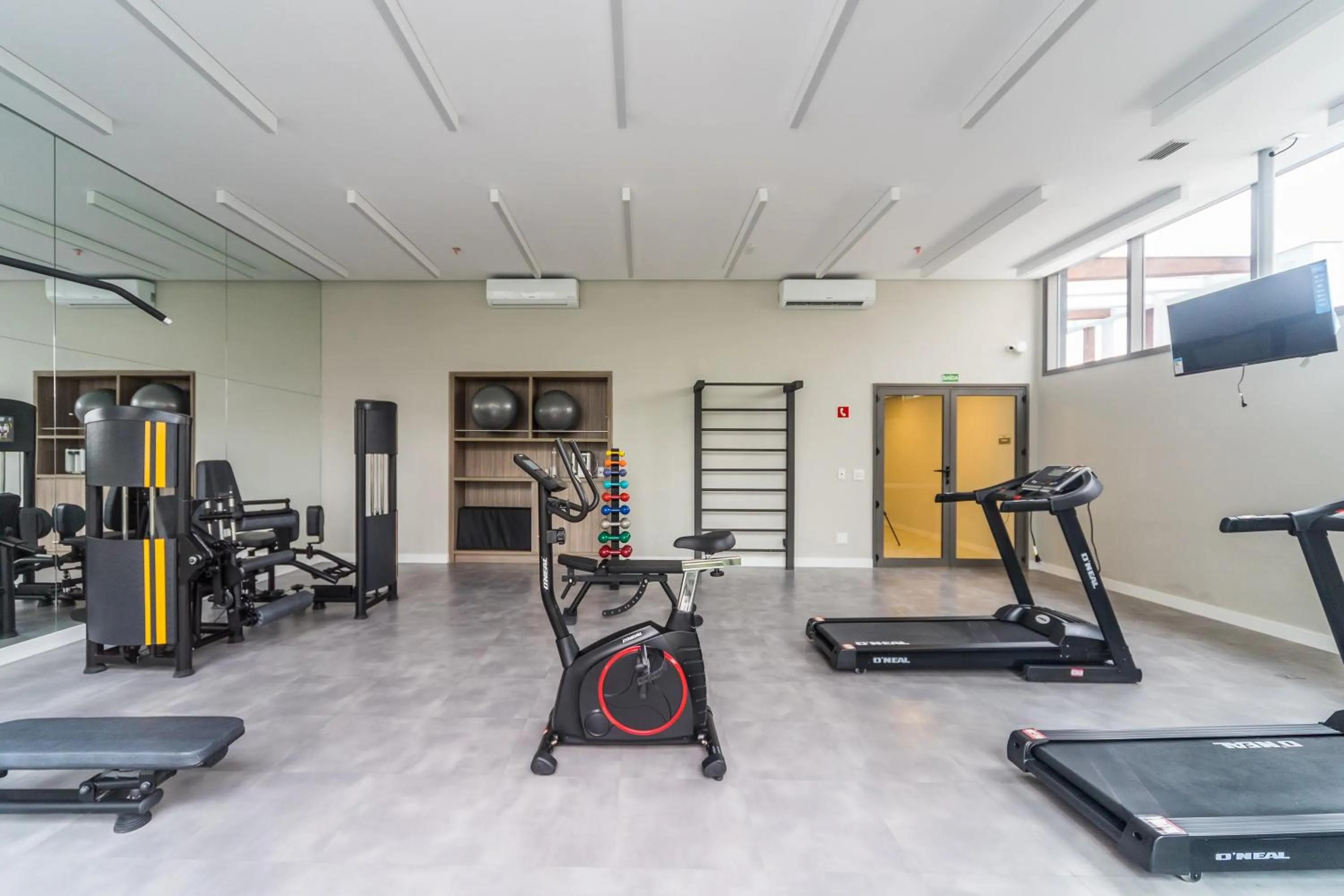 Day in Charlie Domy Paraíso