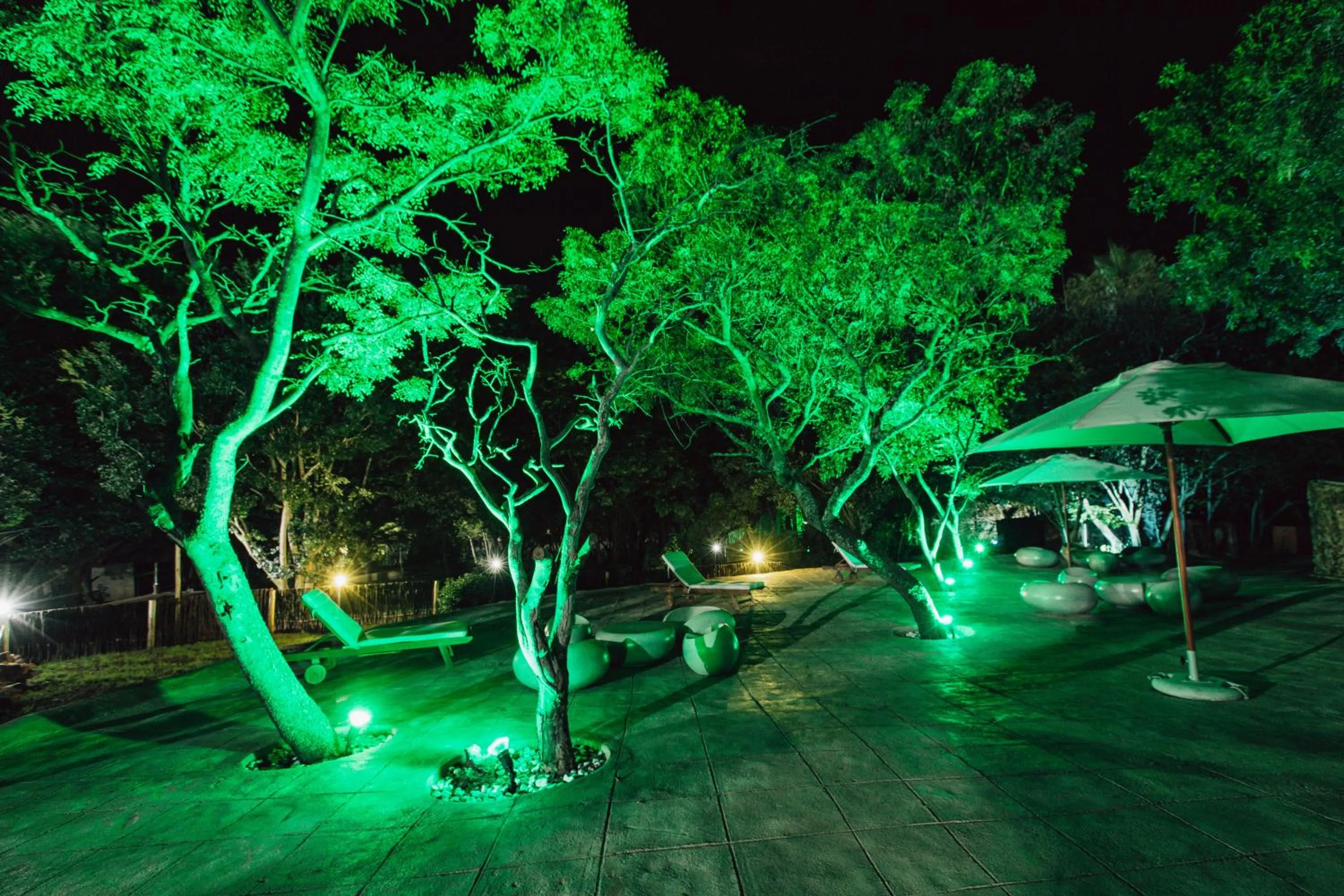 Pecan Bush Lodge
