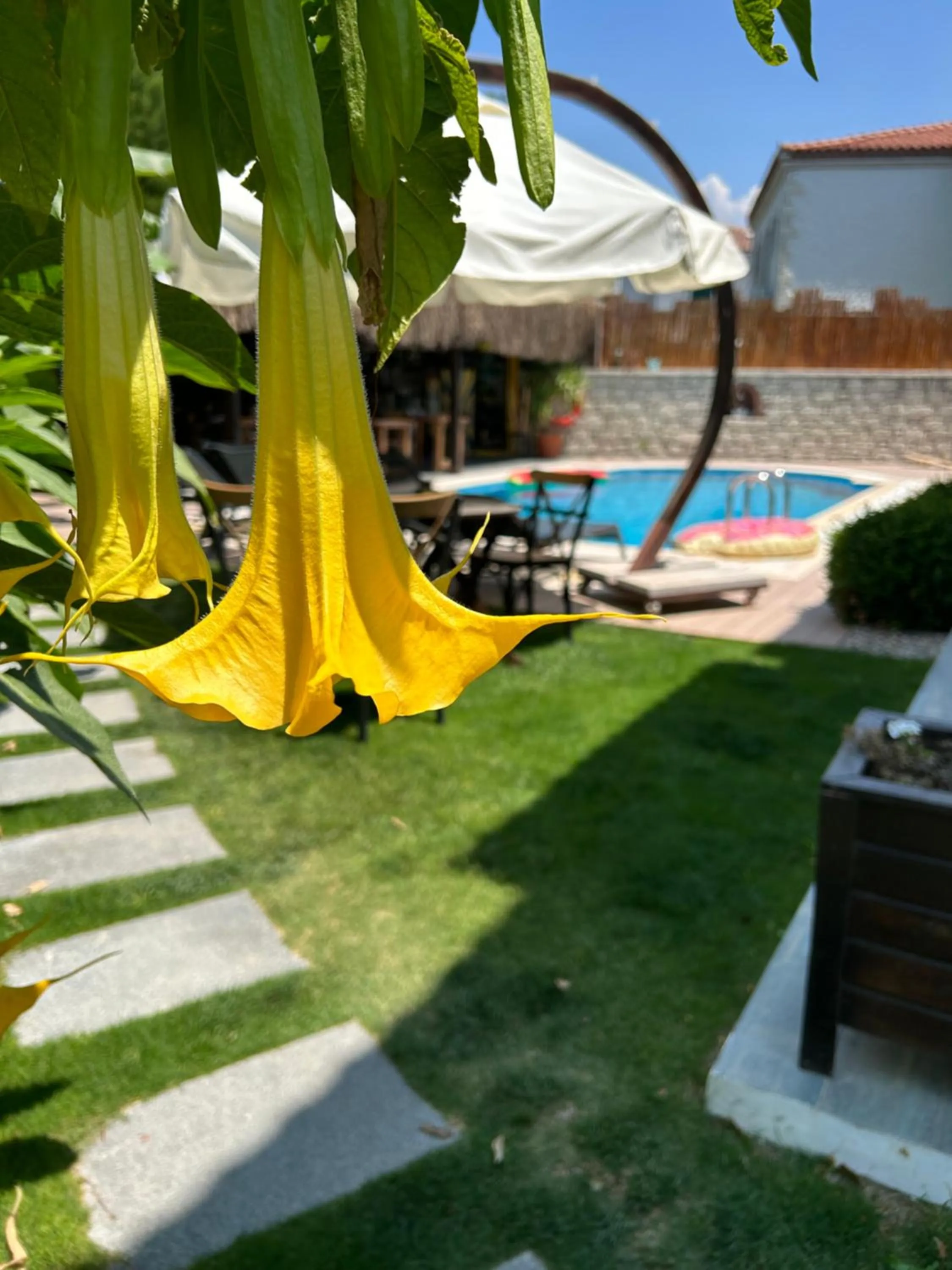 Garden in Pupa Alaçatı Butik Otel
